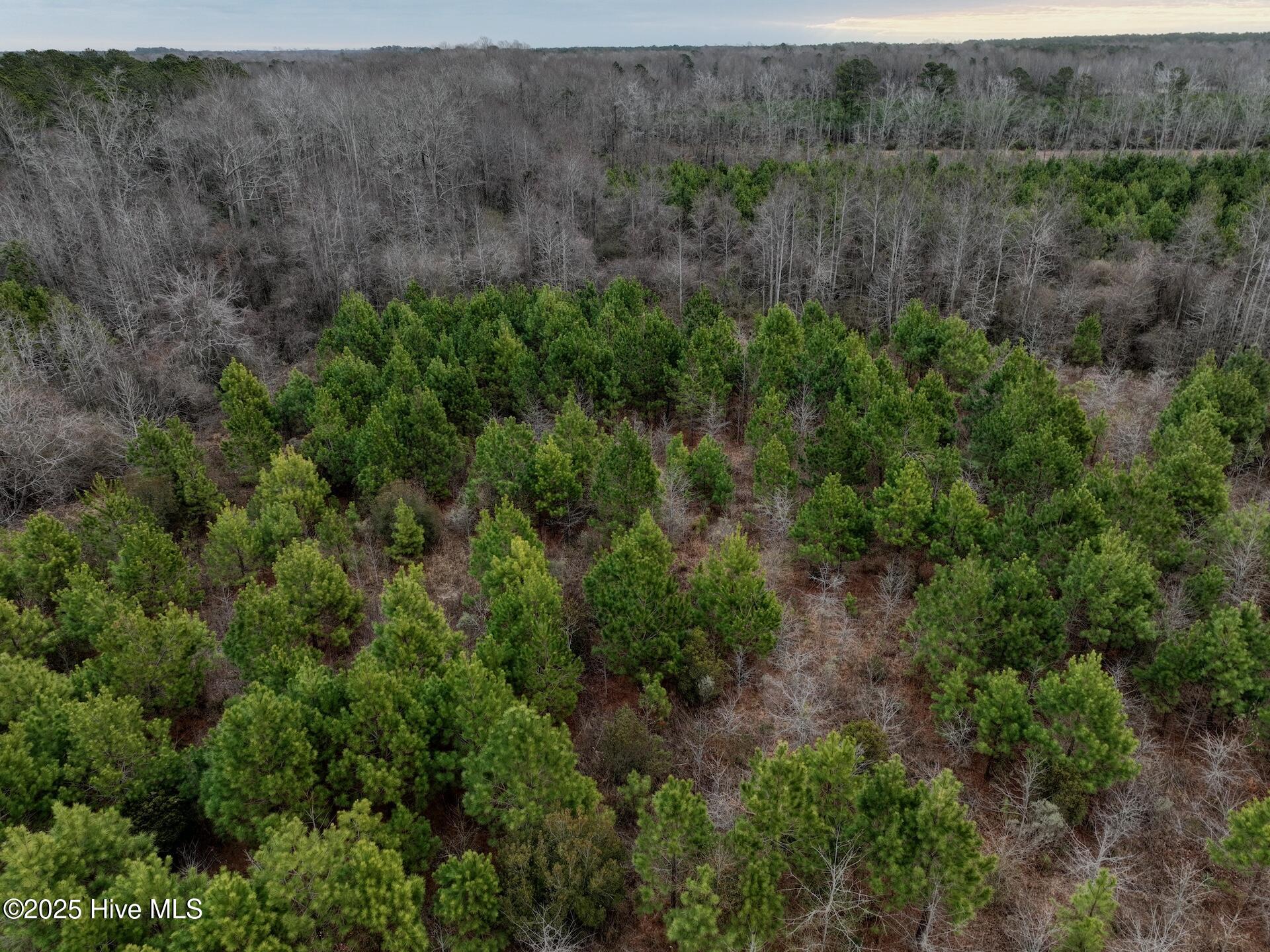 0 Creek Road Property Photo 20