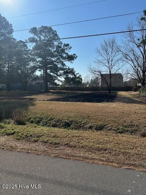 164 Horne Place Drive Property Photo 1