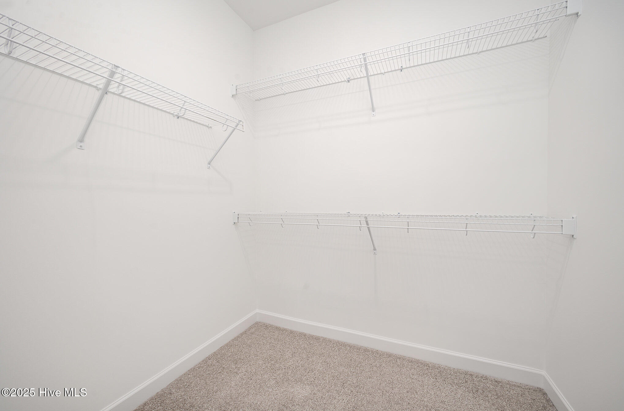 105 Tuskeegee Drive Property Photo 21