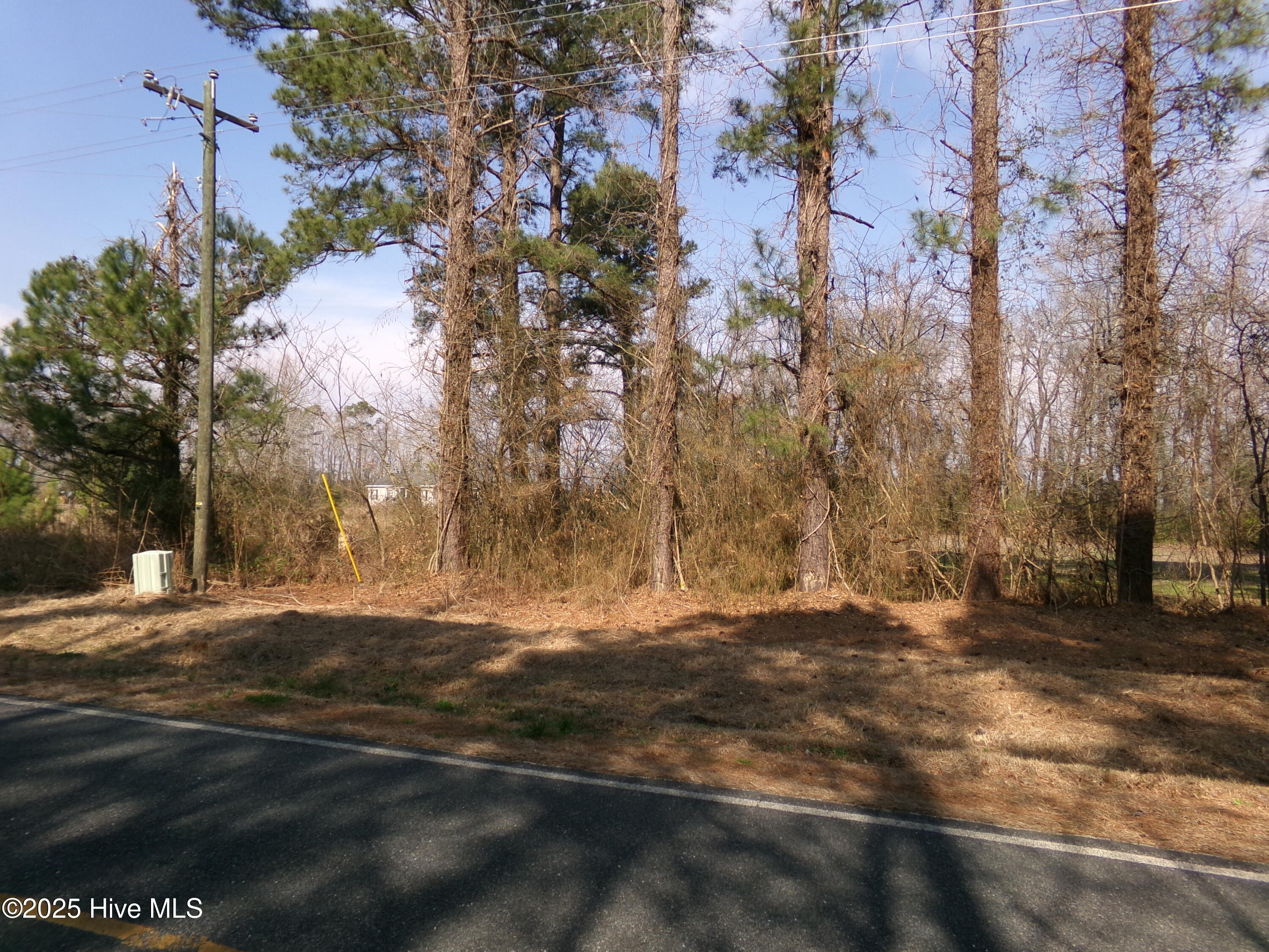 . Pages Lake Road Property Photo