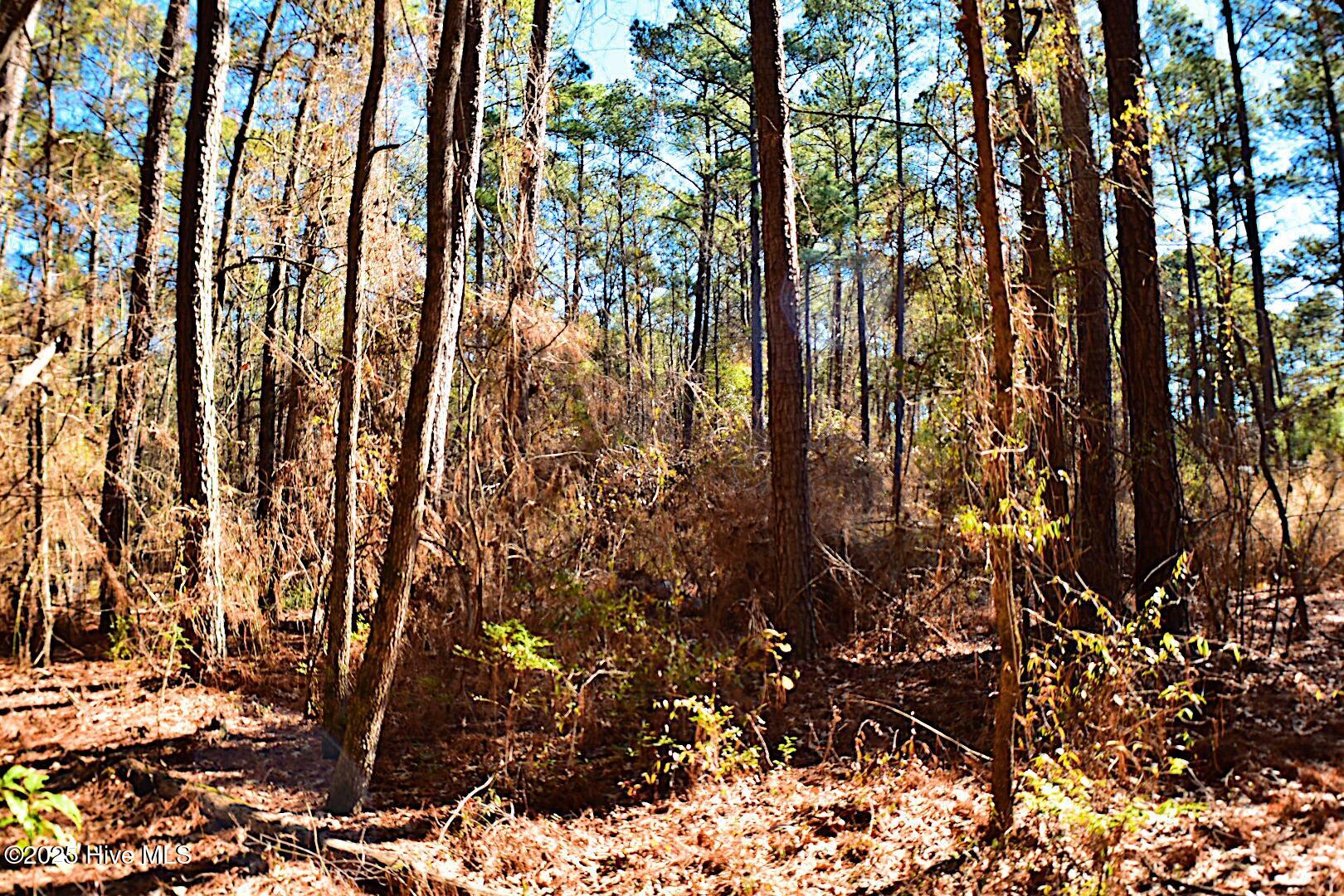 4164 Tobacco Road Property Photo 6