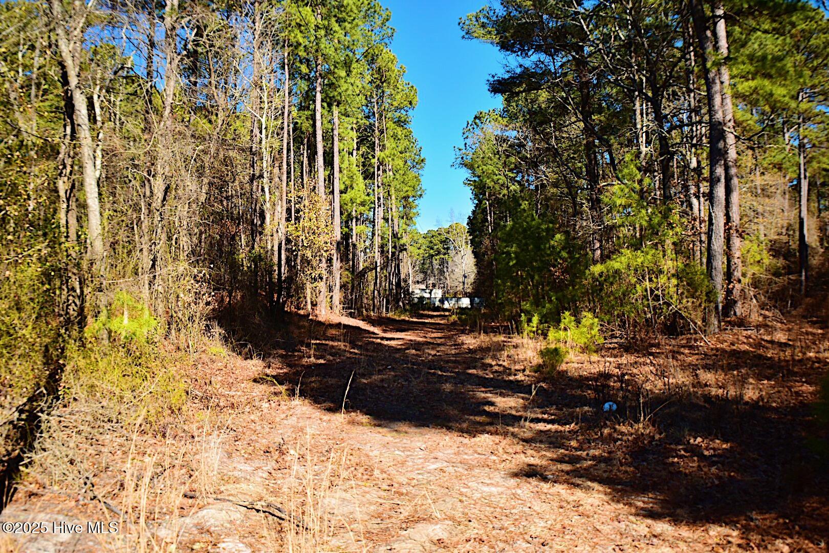 4164 Tobacco Road Property Photo 7
