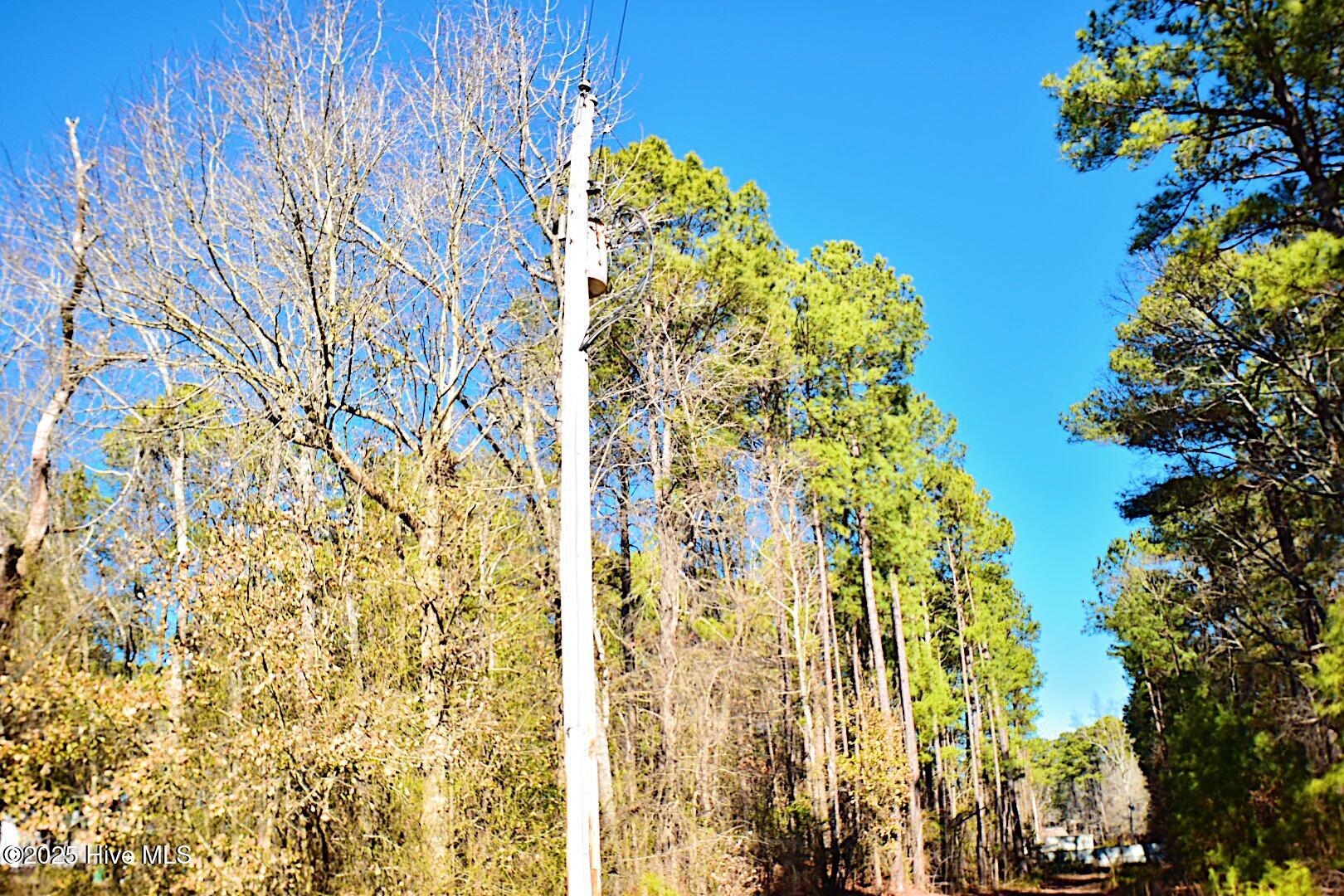 4164 Tobacco Road Property Photo 8