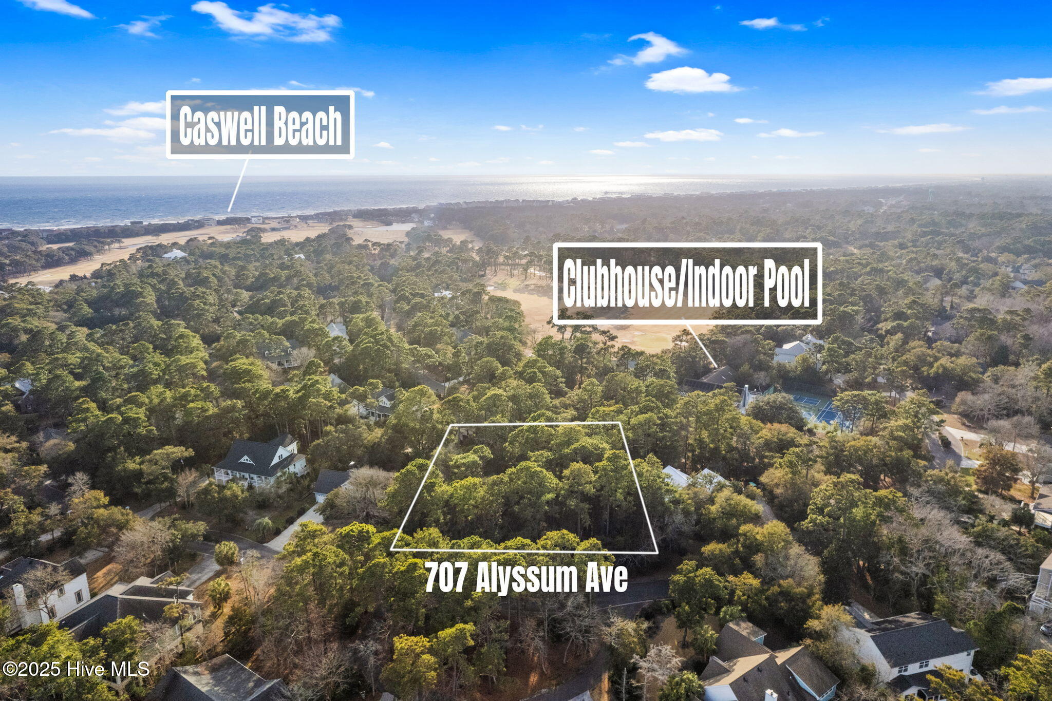 707 Alyssum Avenue Property Photo 1