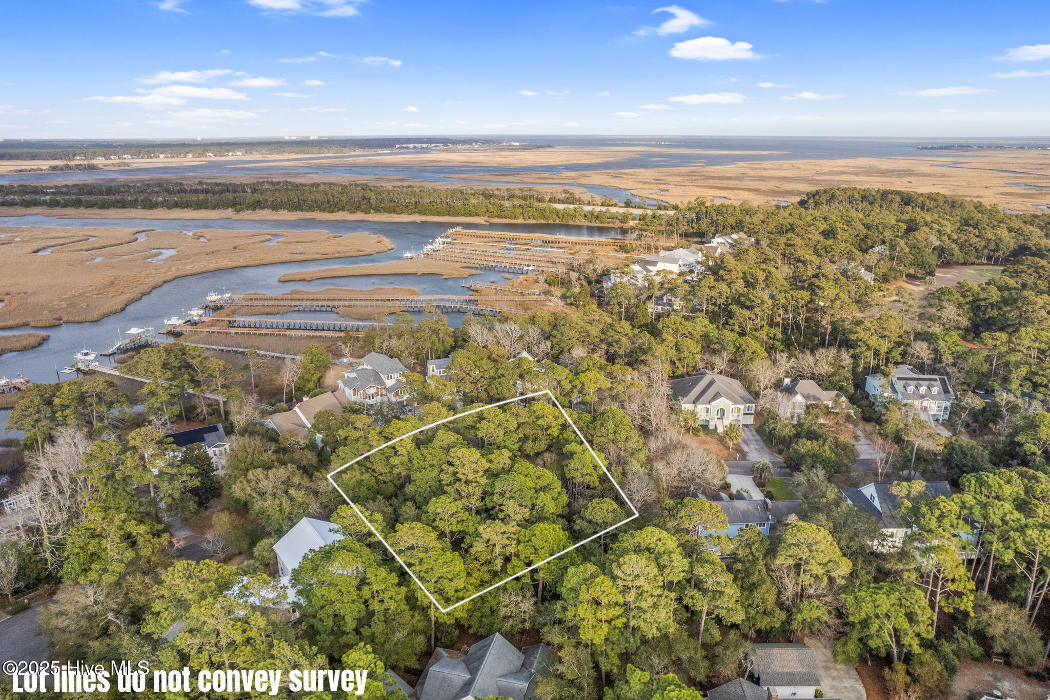 707 Alyssum Avenue Property Photo 4