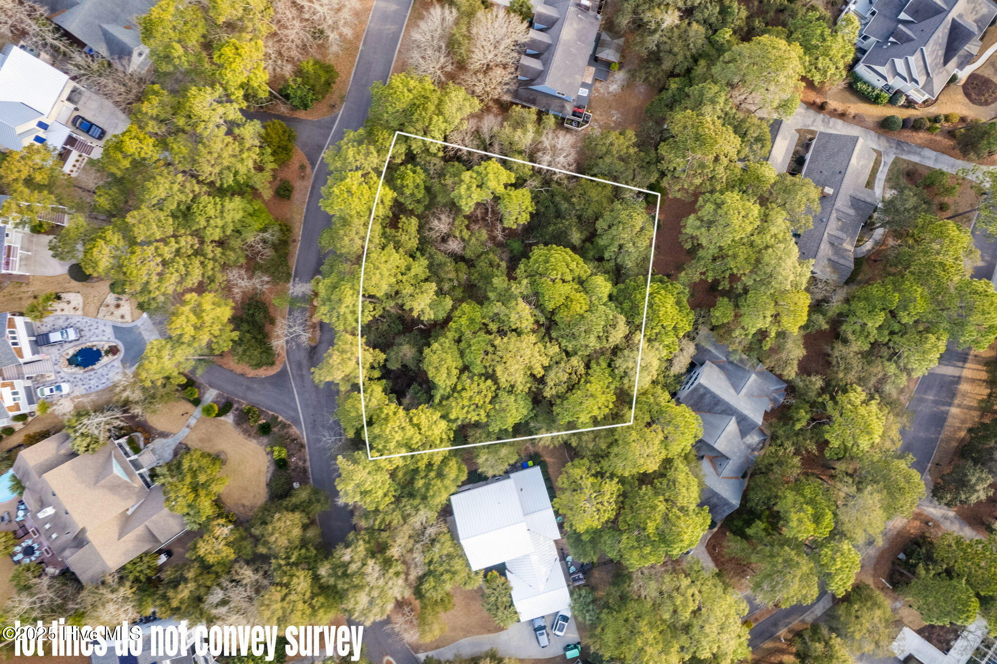 707 Alyssum Avenue Property Photo 6