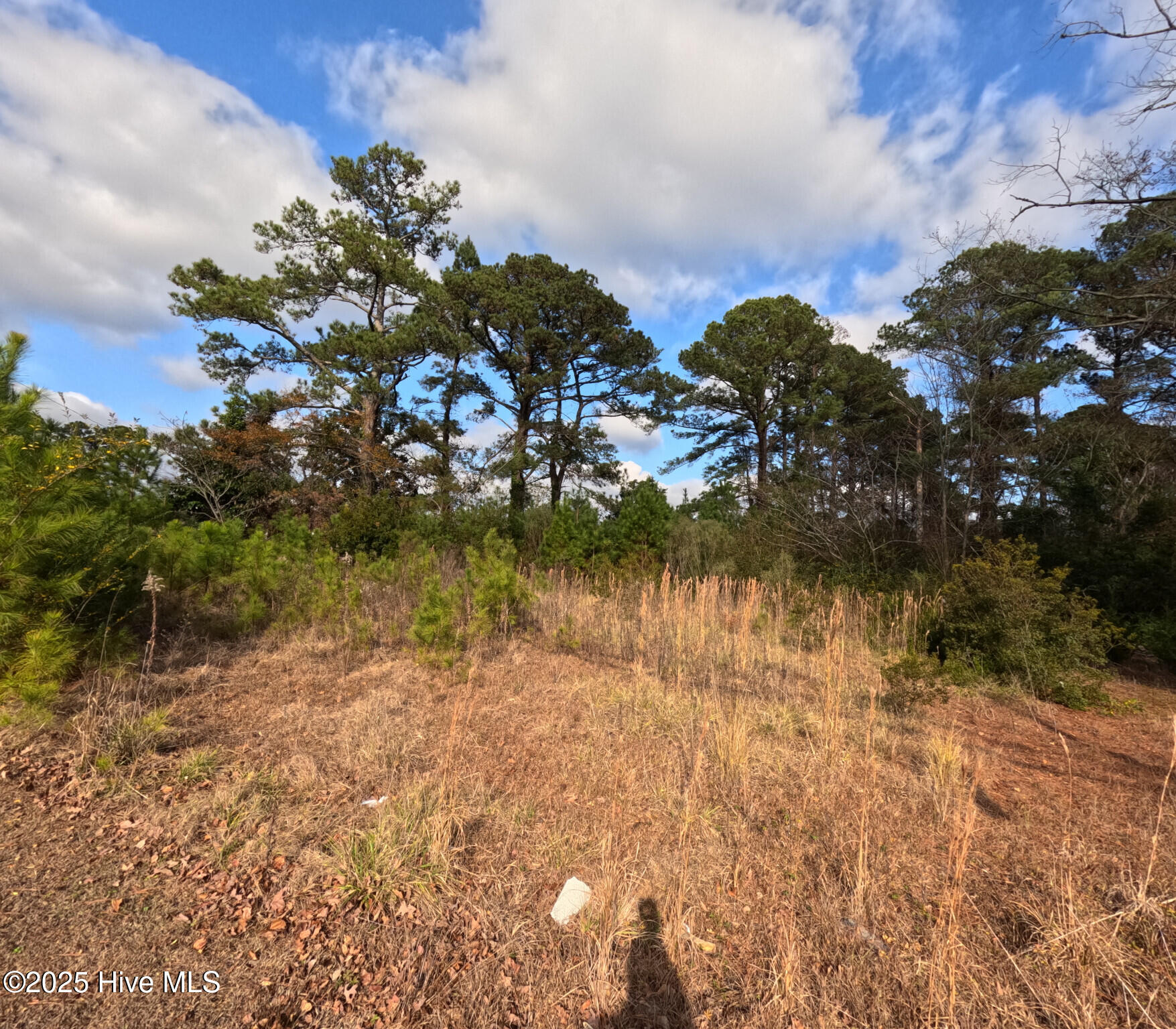 267 Piney Green Road Property Photo 3