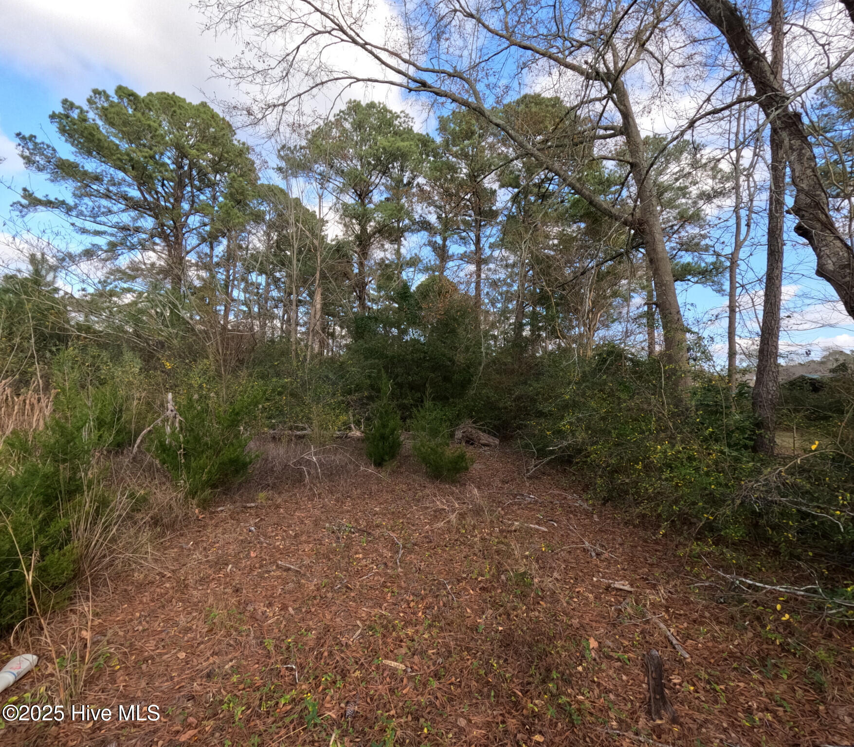 267 Piney Green Road Property Photo 4