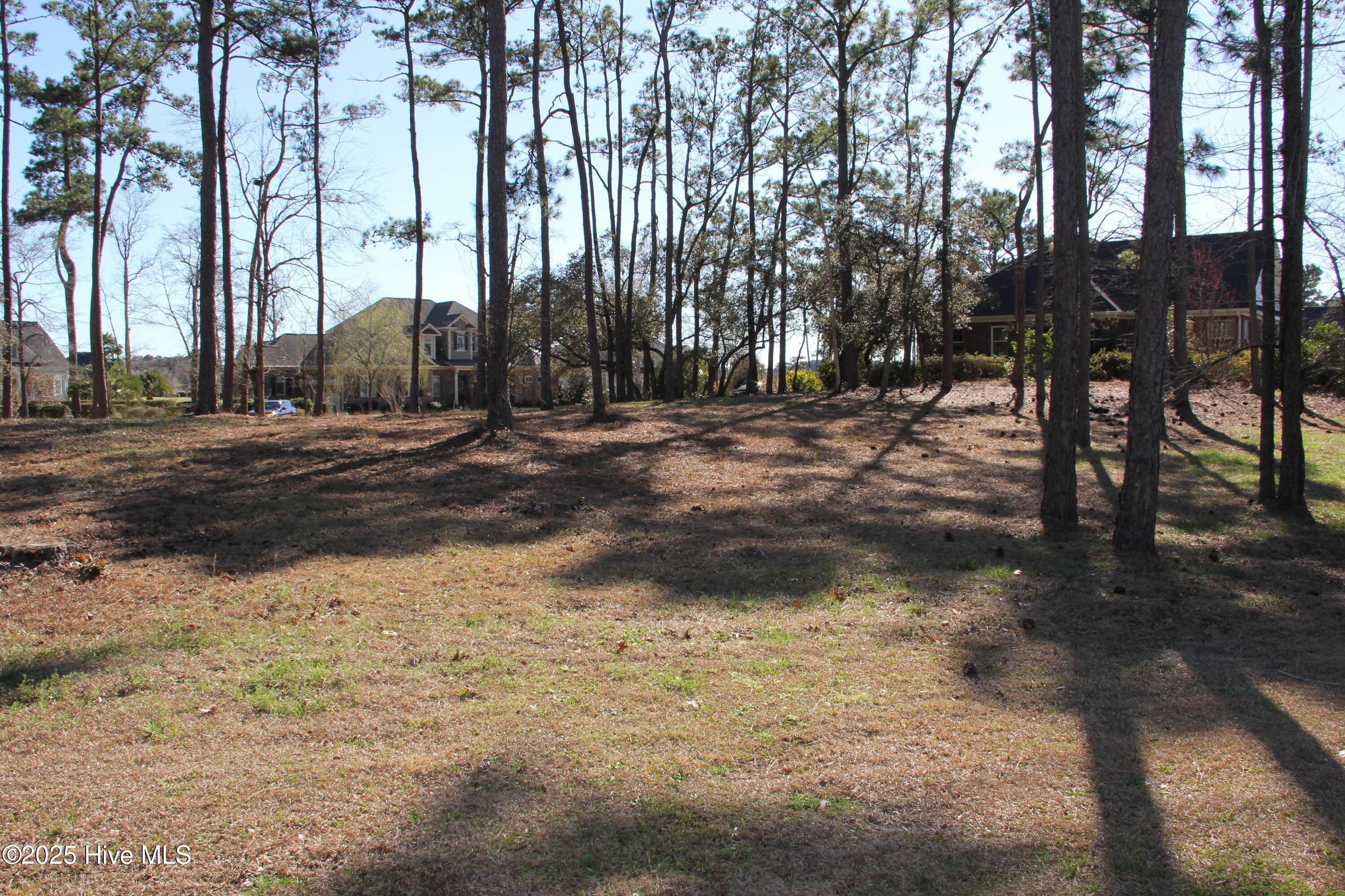 6832 Weeping Willow Place Property Photo 2