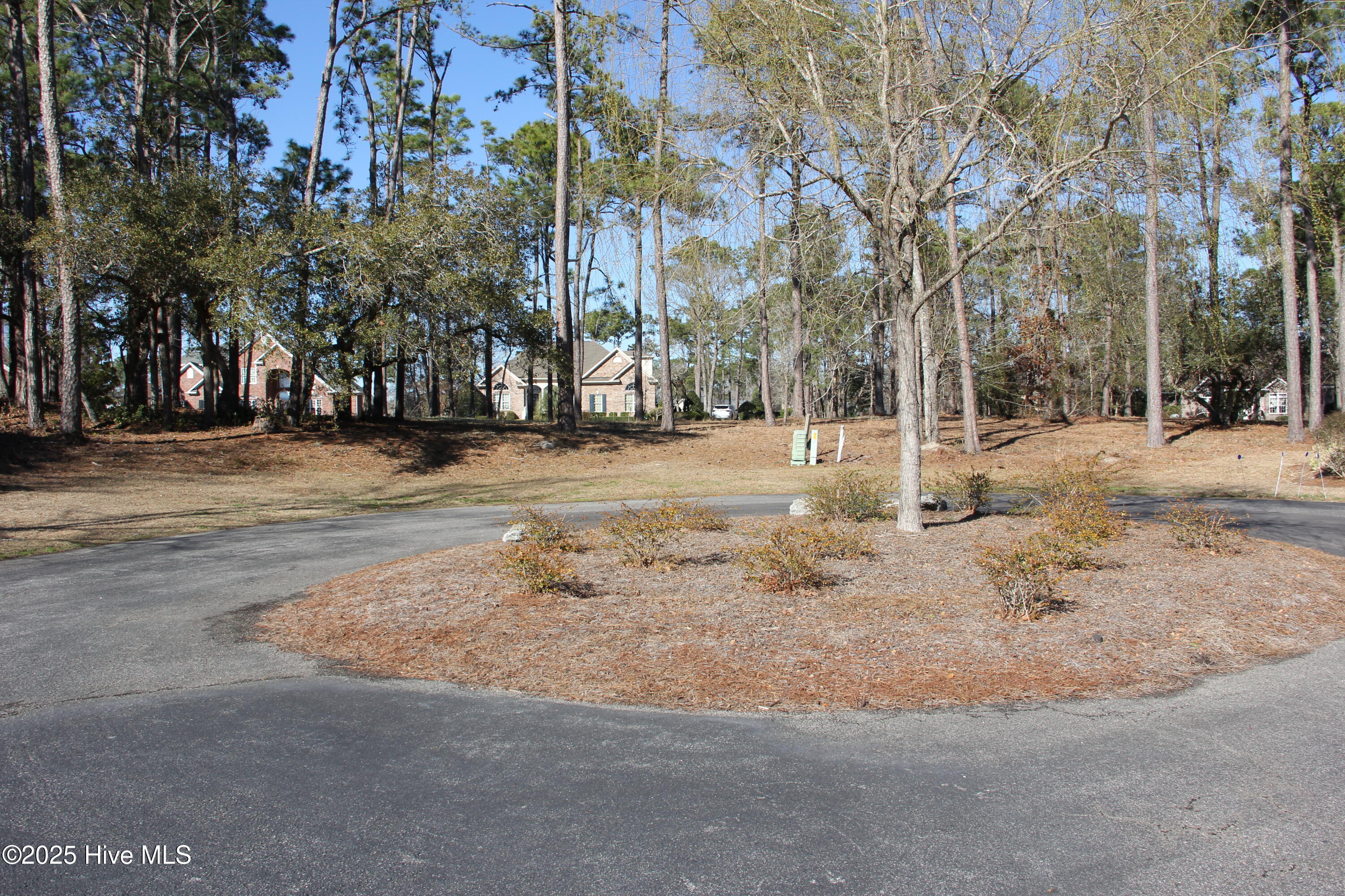 6832 Weeping Willow Place Property Photo 3