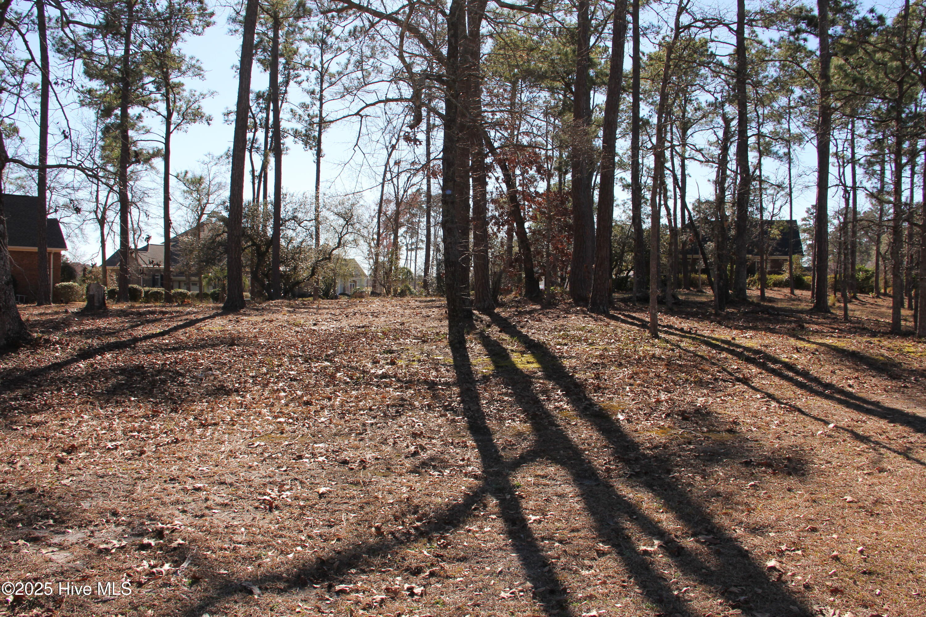 6832 Weeping Willow Place Property Photo 4
