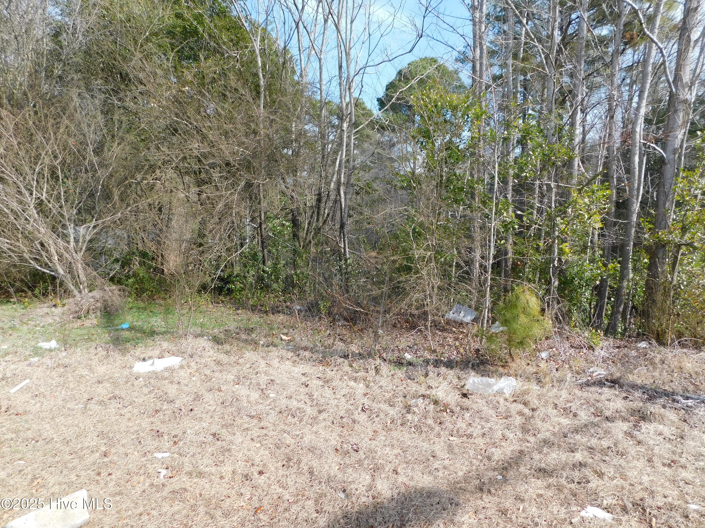10781 Gibson Road Property Photo 4