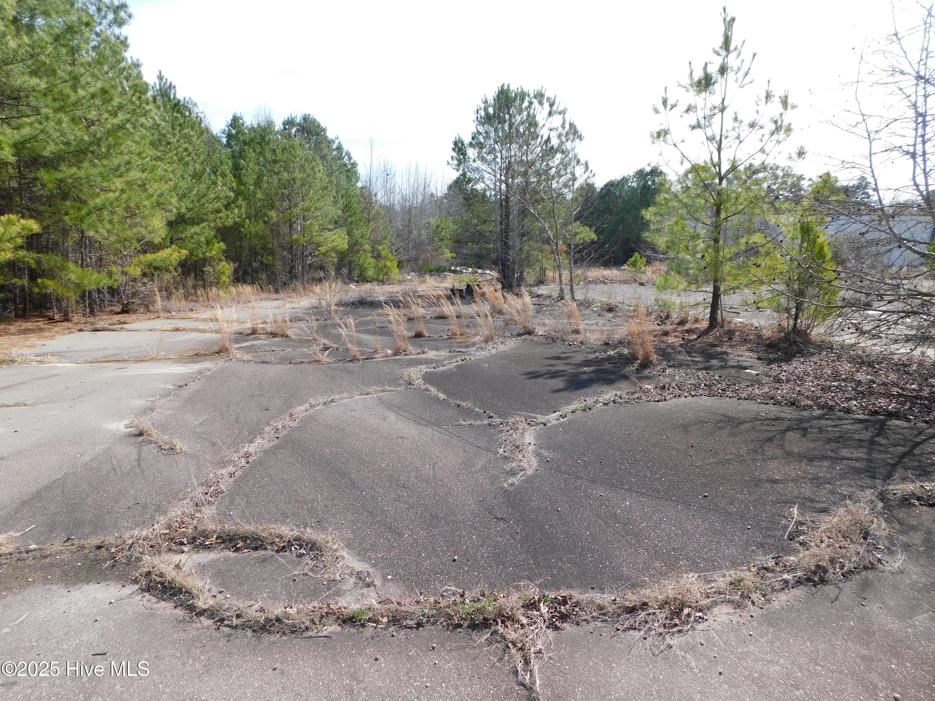 10781 Gibson Road Property Photo 6