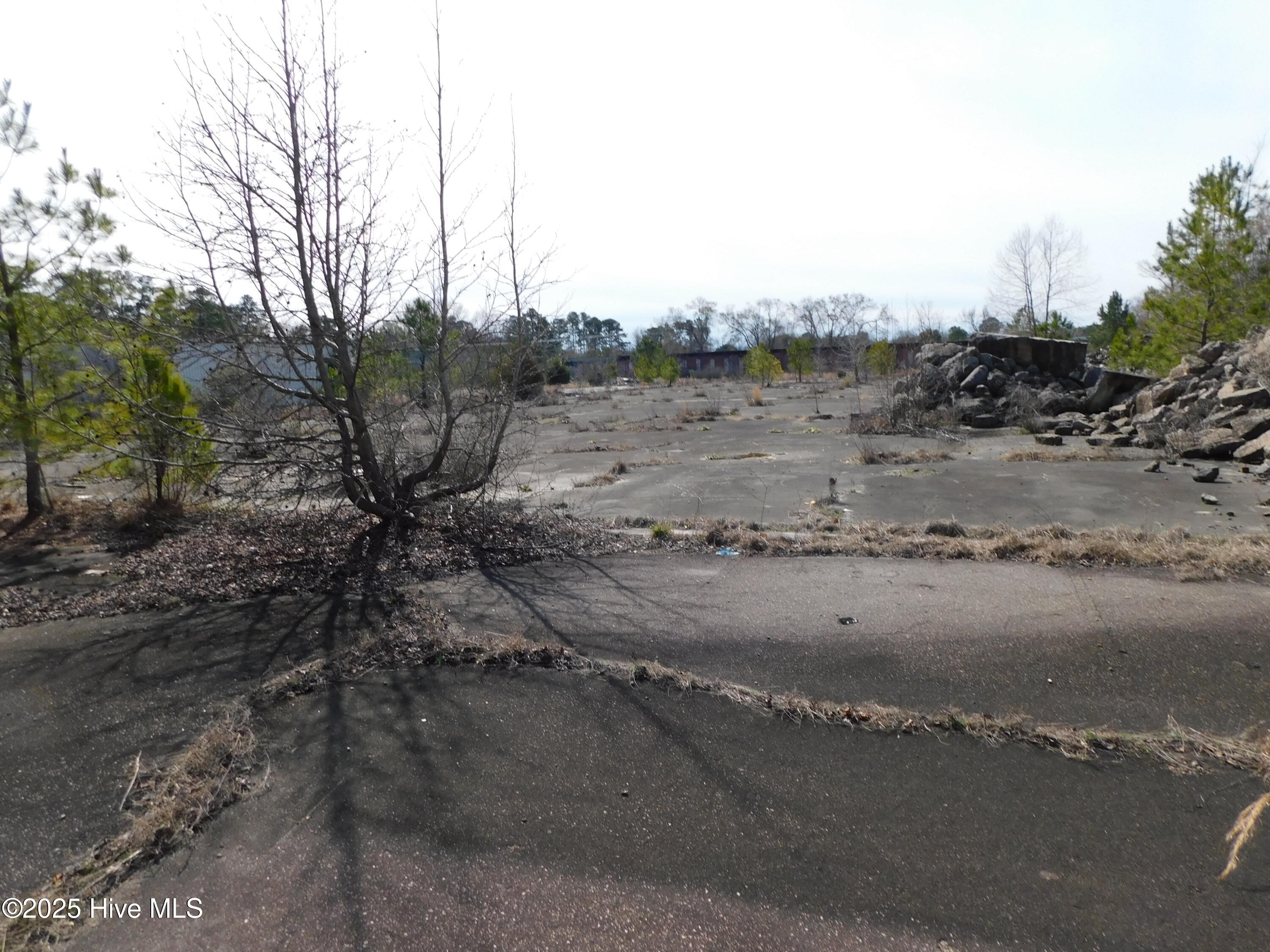 10781 Gibson Road Property Photo 7