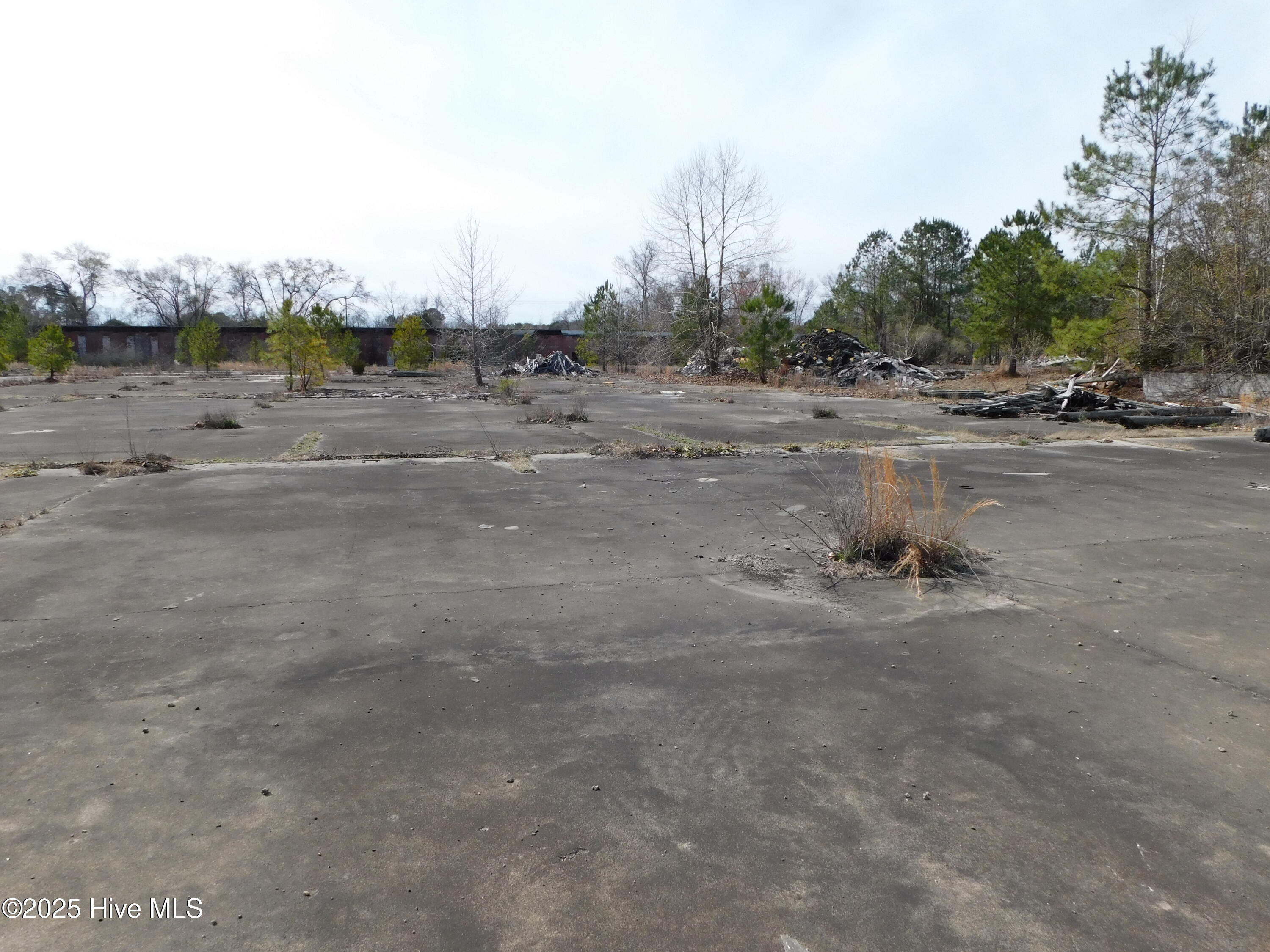 10781 Gibson Road Property Photo 9