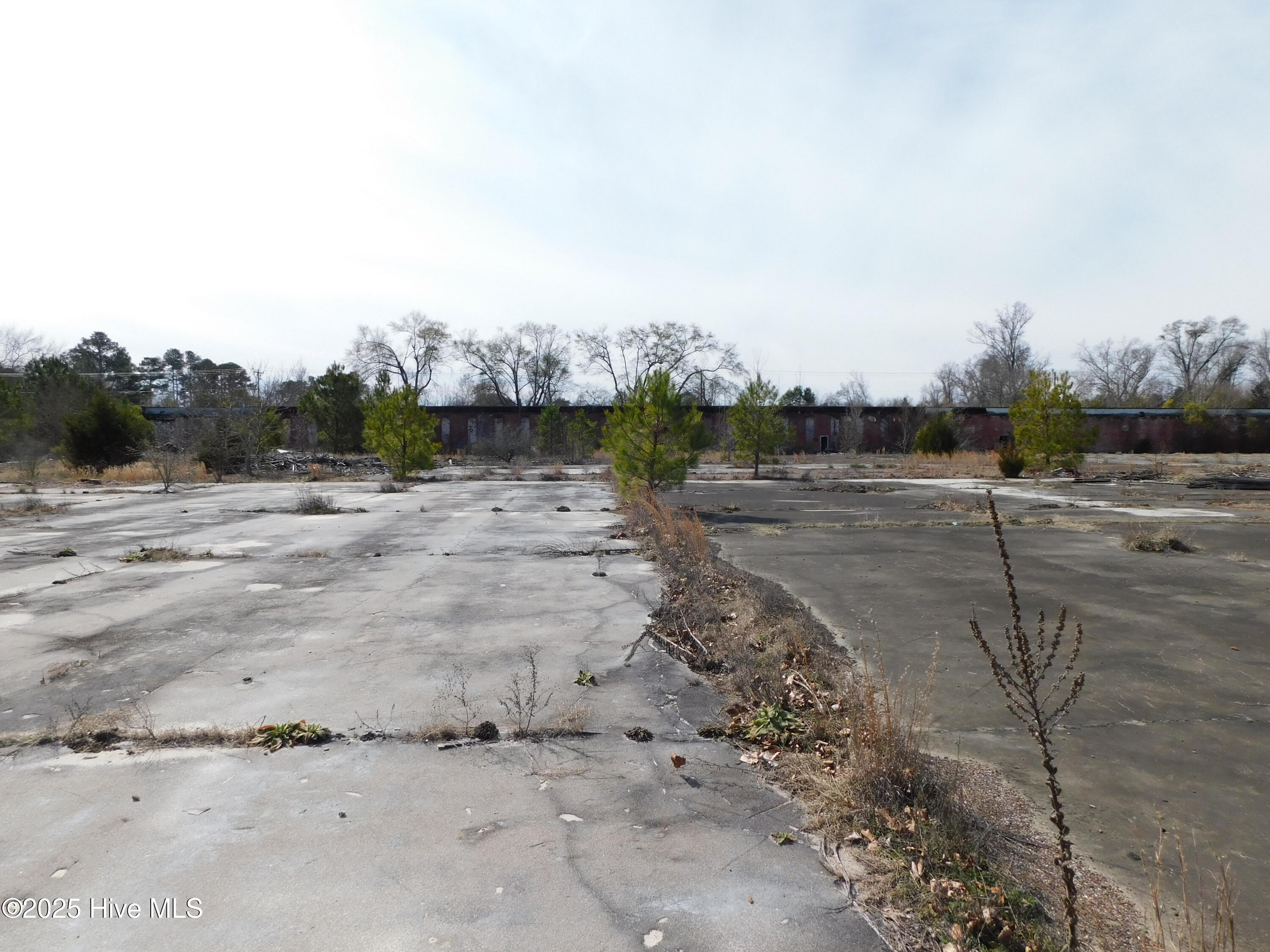 10781 Gibson Road Property Photo 13