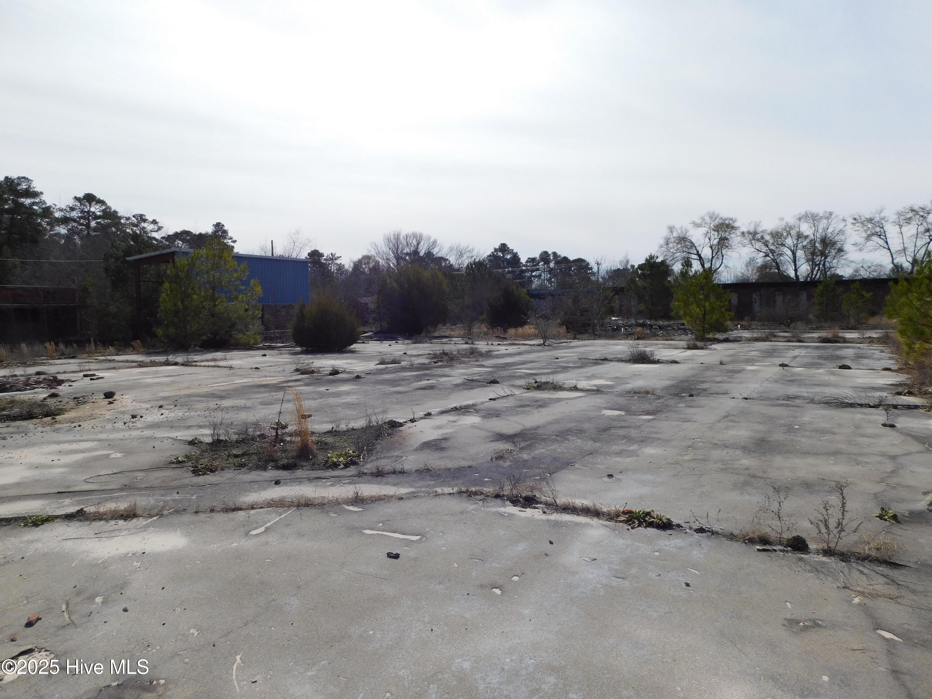 10781 Gibson Road Property Photo 15