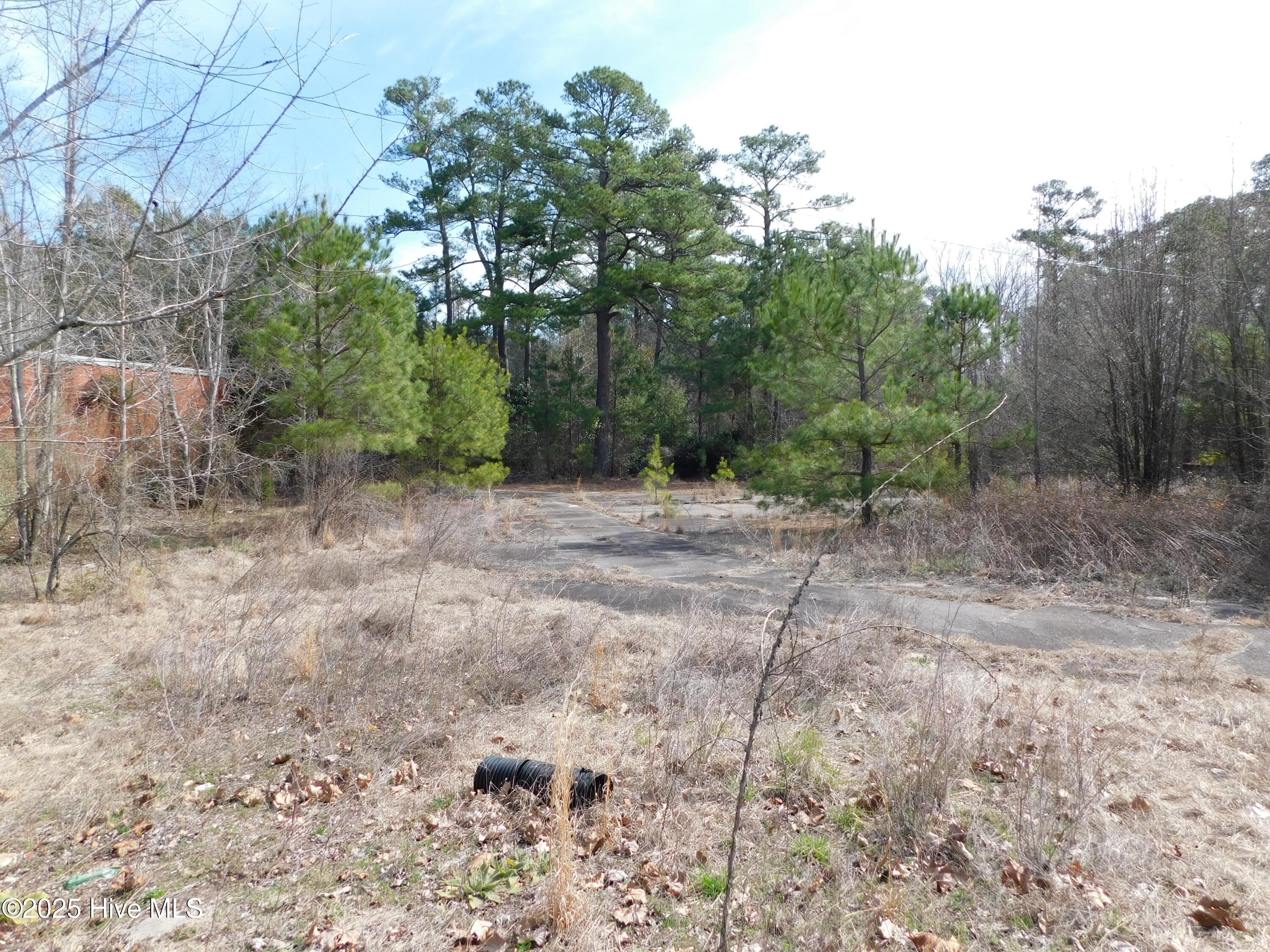 10781 Gibson Road Property Photo 35
