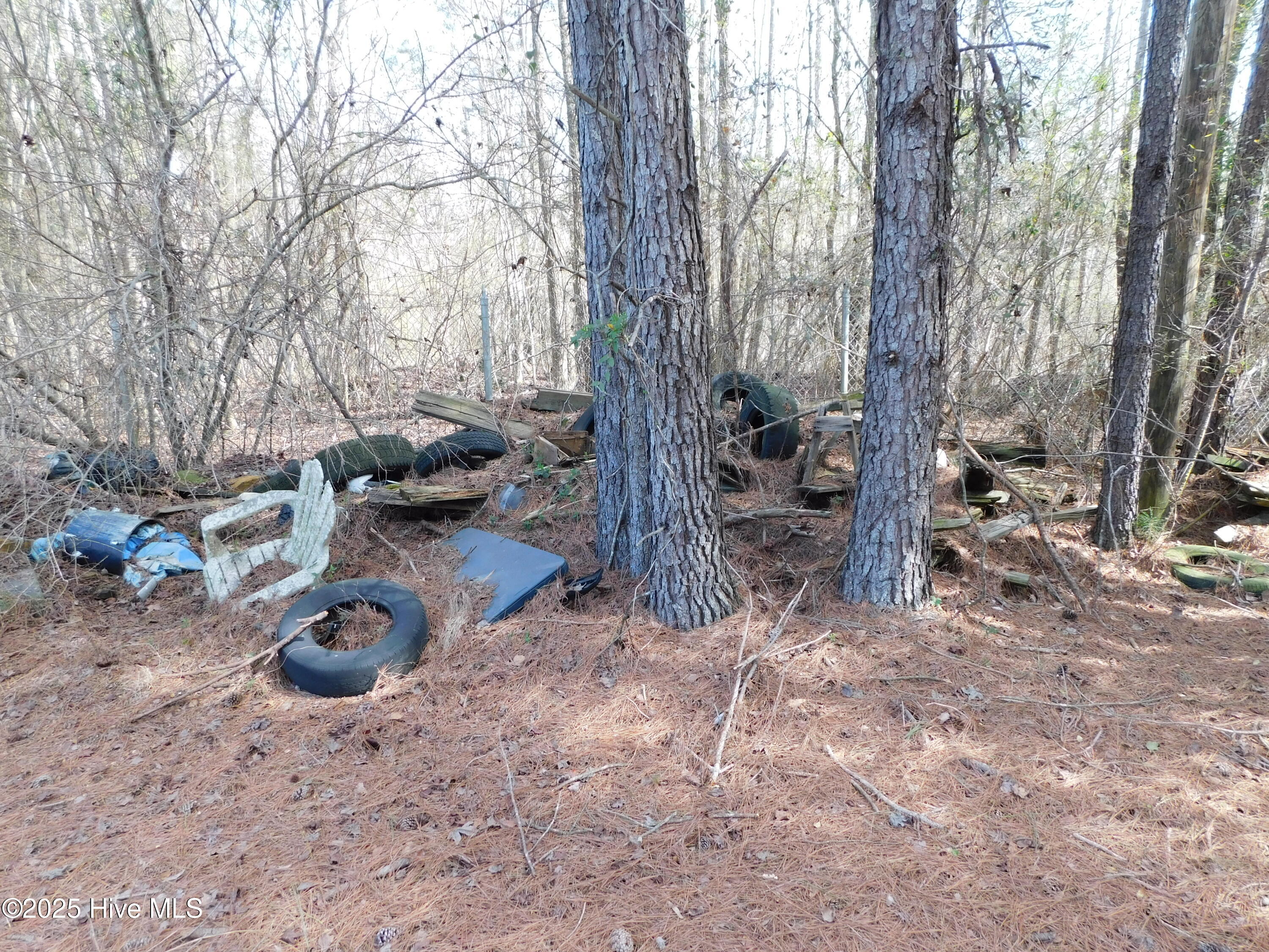 10781 Gibson Road Property Photo 44