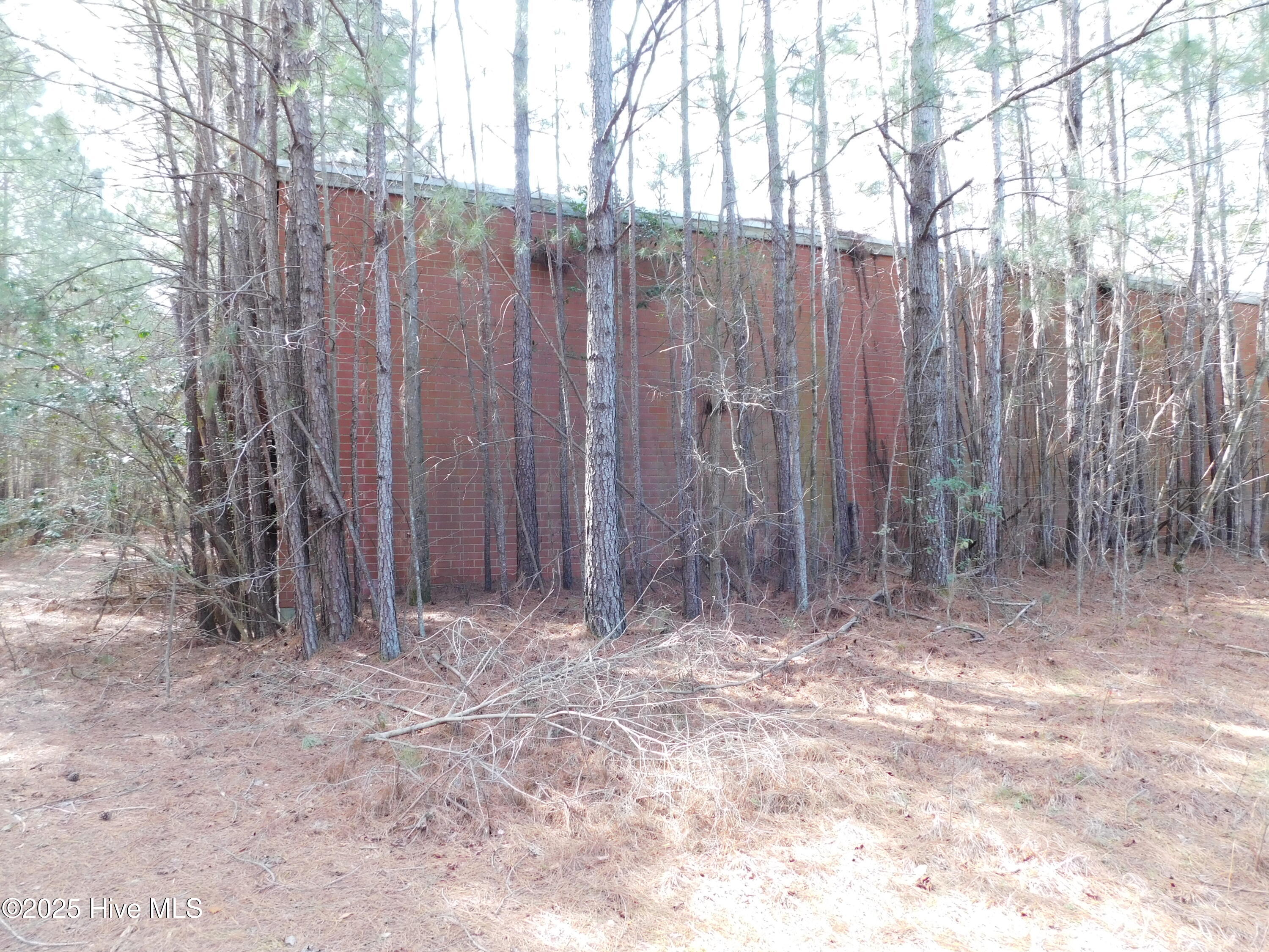 10781 Gibson Road Property Photo 45