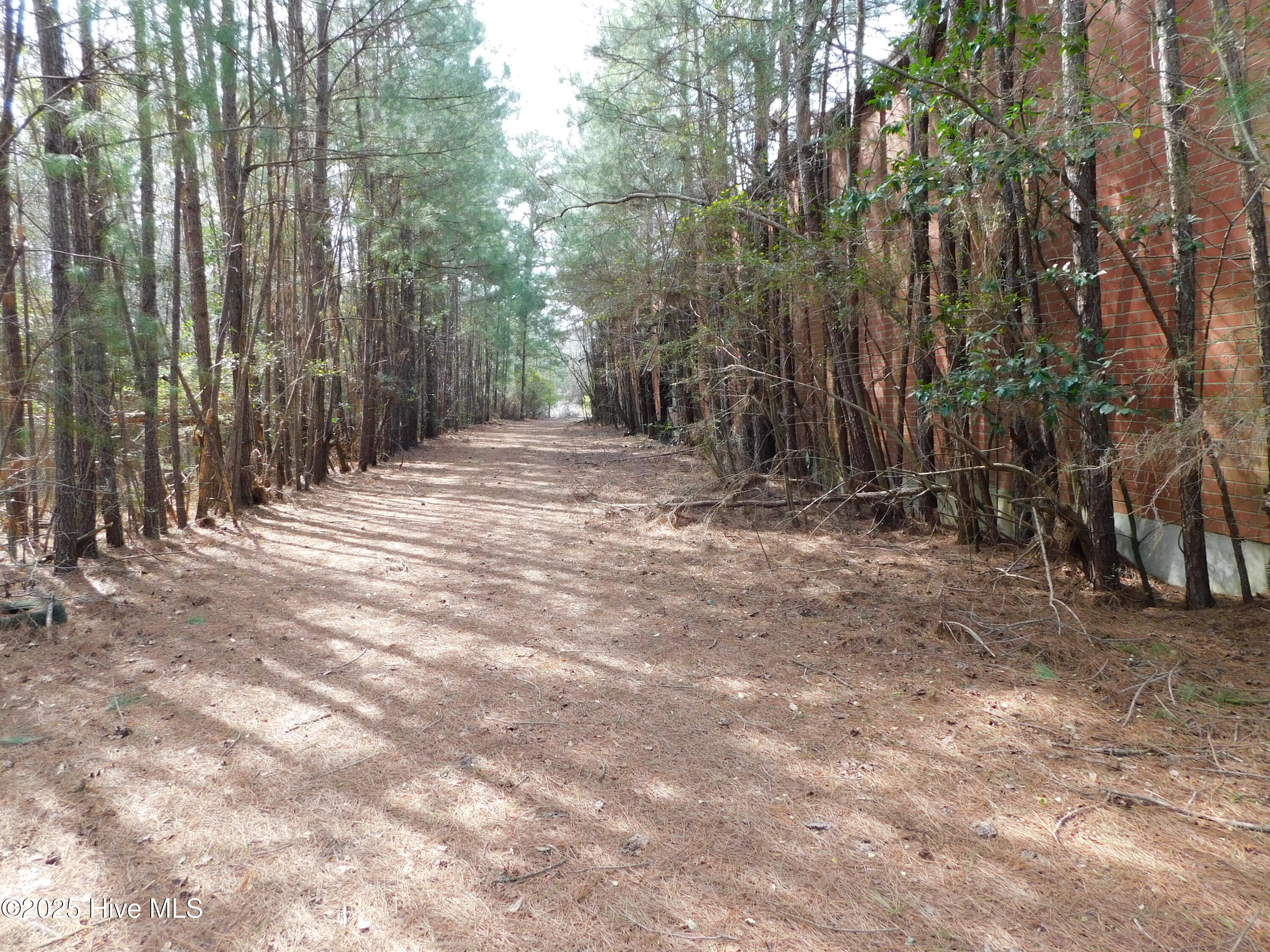 10781 Gibson Road Property Photo 48