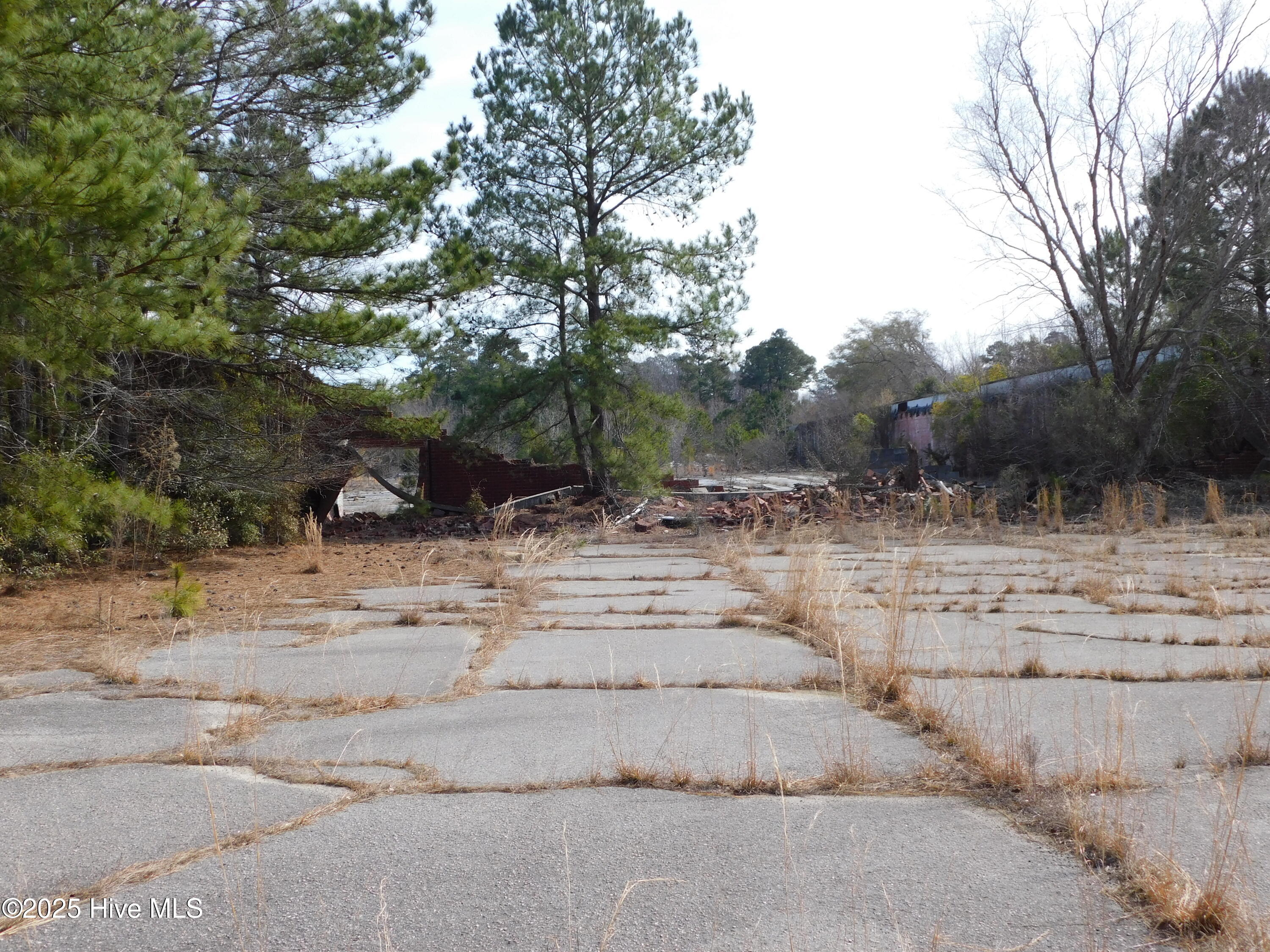 10781 Gibson Road Property Photo 49