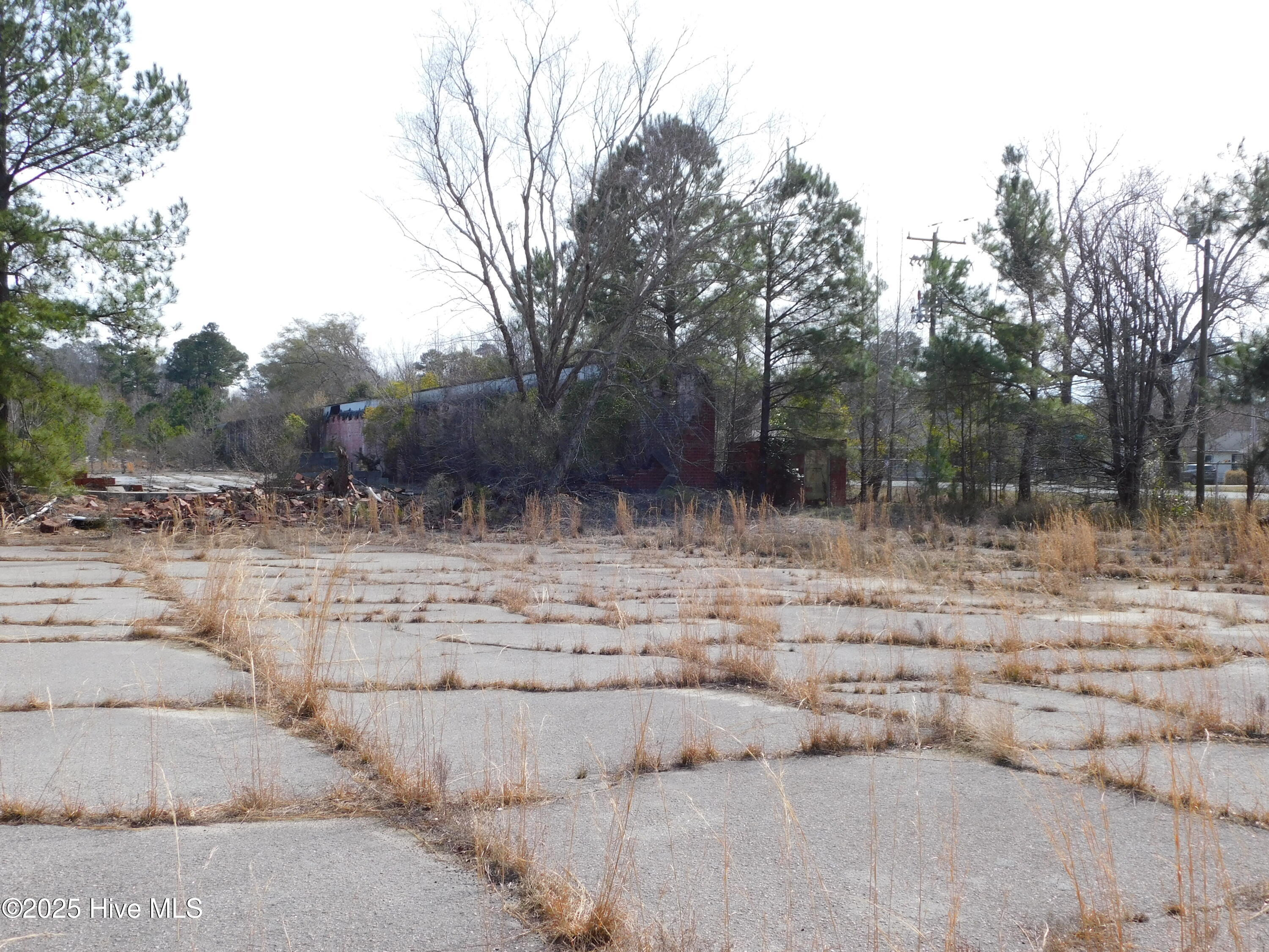 10781 Gibson Road Property Photo 50