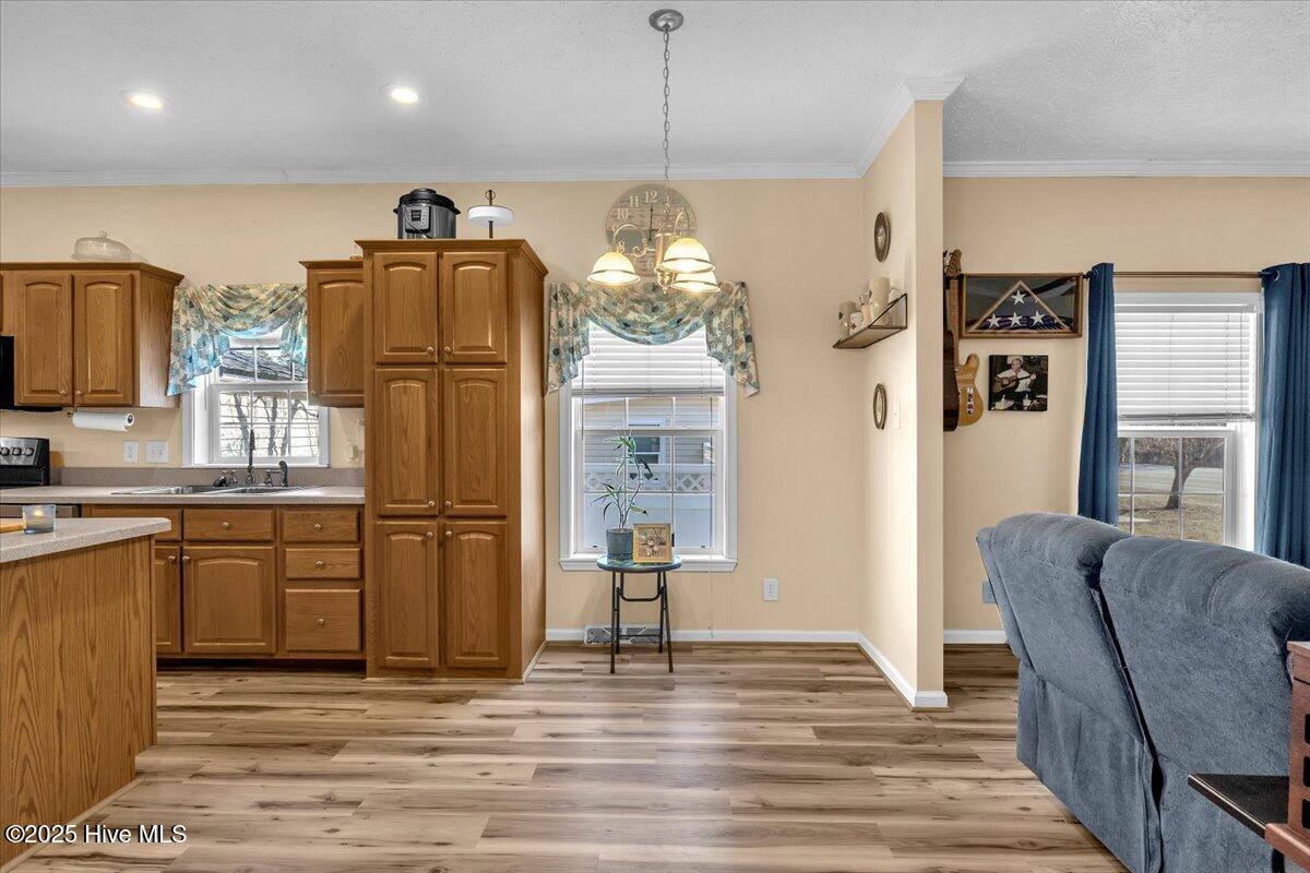 20 Atkinson Road Property Photo 7
