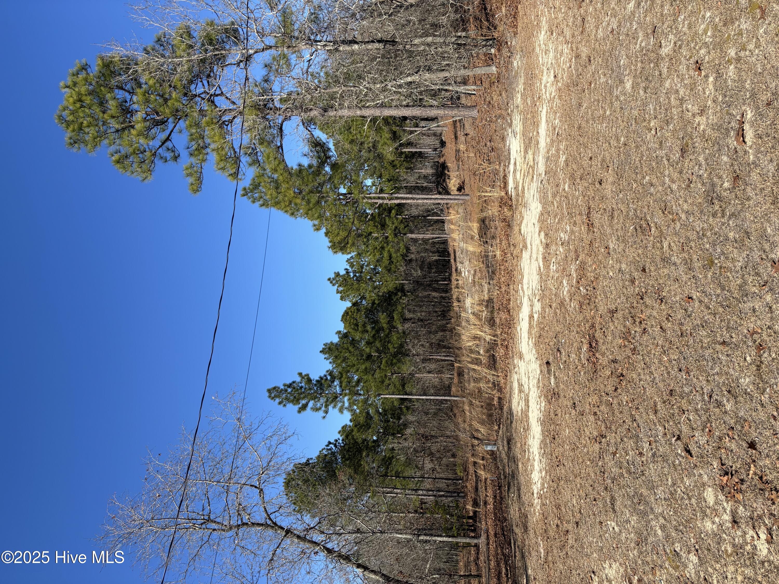 176 Lonnie Lane Property Photo