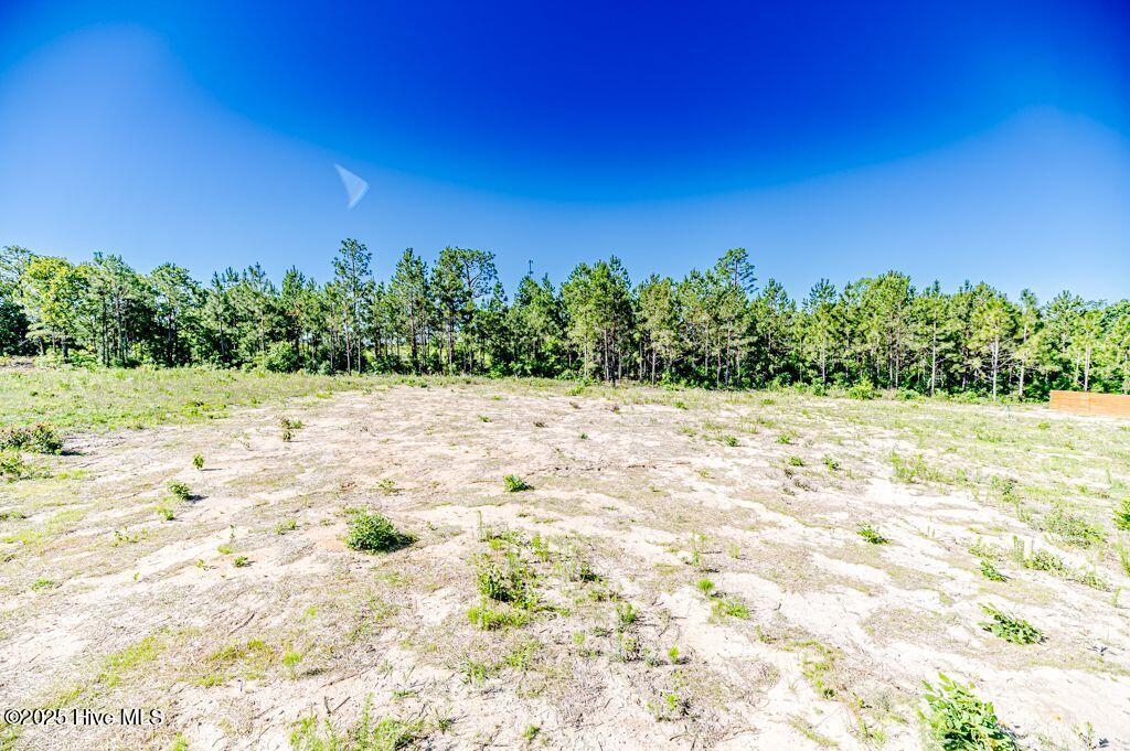 932 Allstar Avenue Property Photo 32