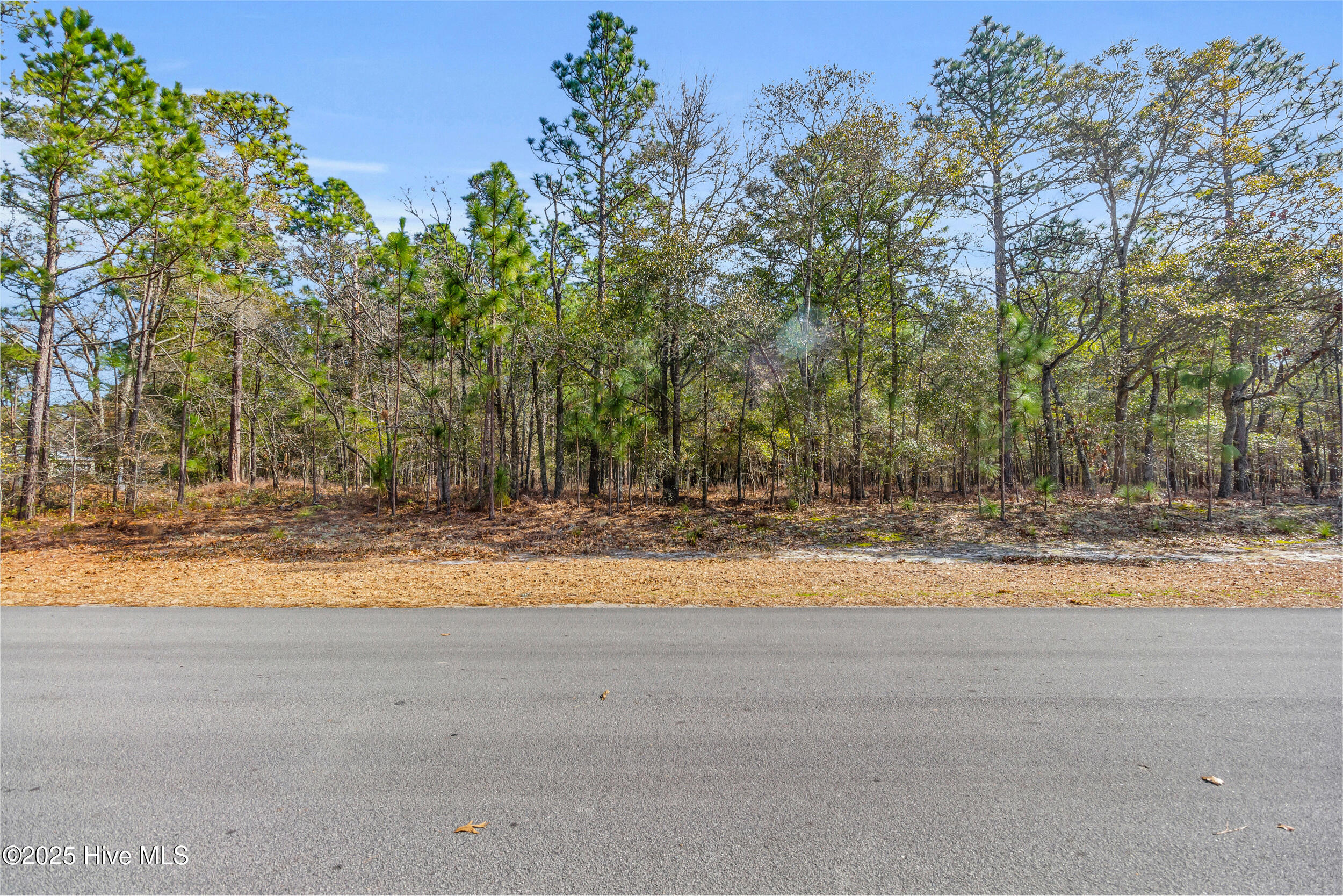 401 Hardison Drive Property Photo 9