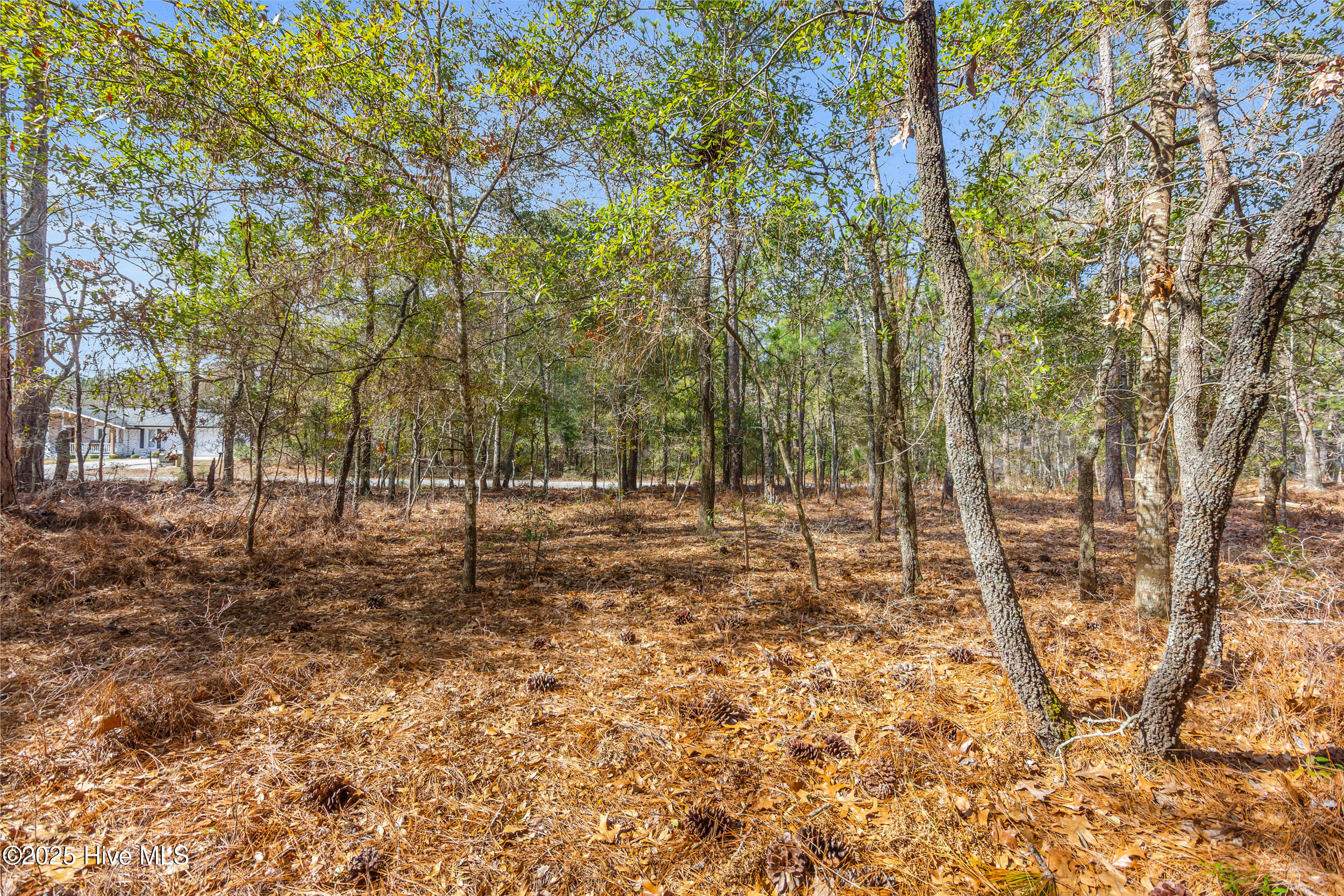 401 Hardison Drive Property Photo 10