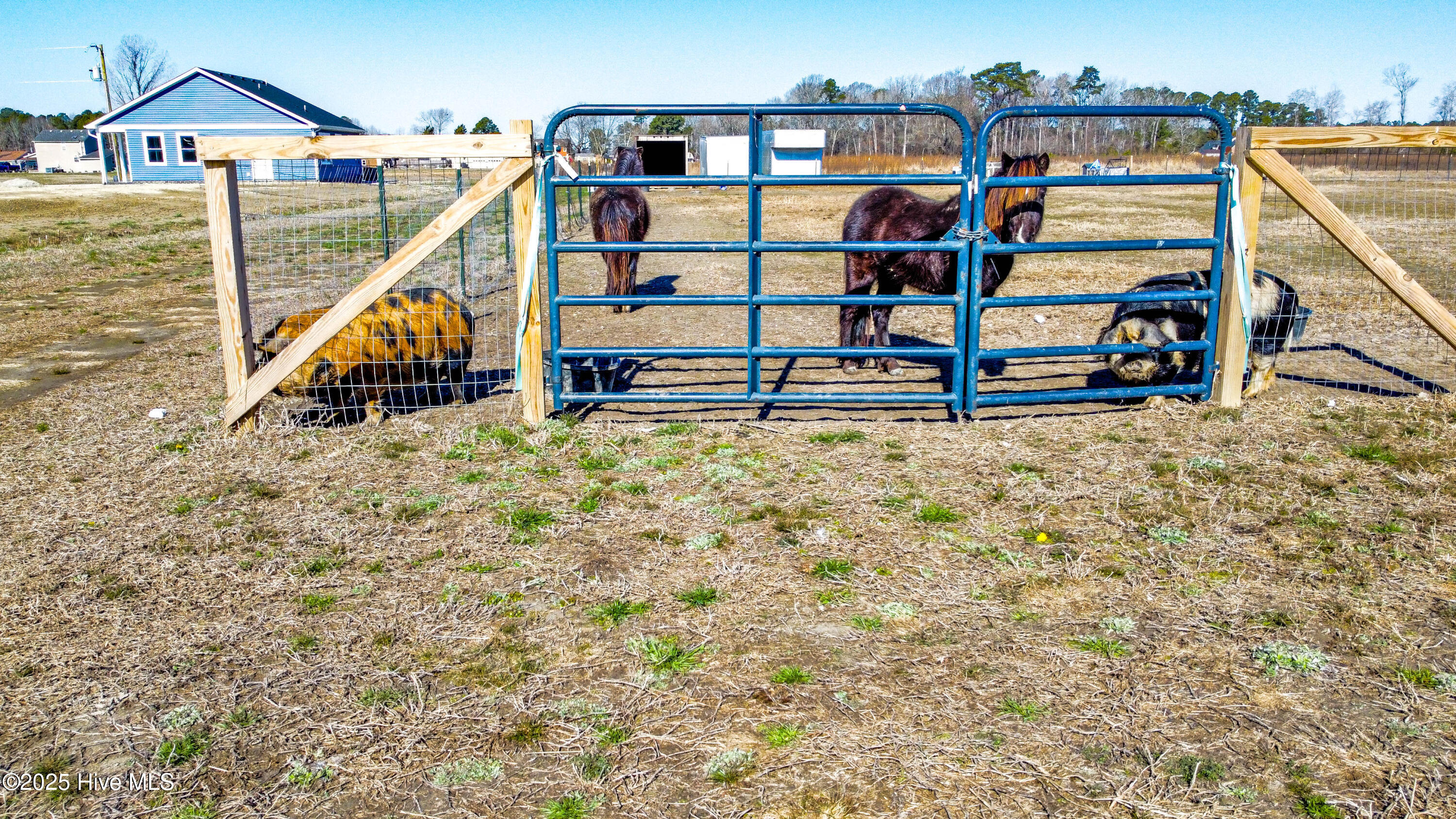 200 Country Club Road Property Photo 11