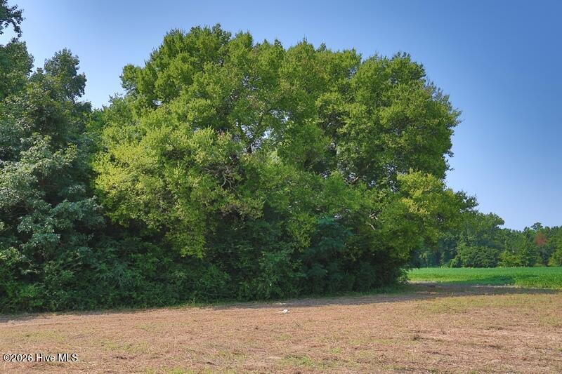 Tbd Kehukee Drive Property Photo 7