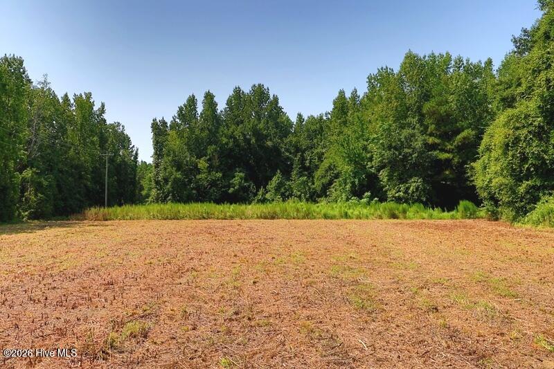 Tbd Kehukee Drive Property Photo 9