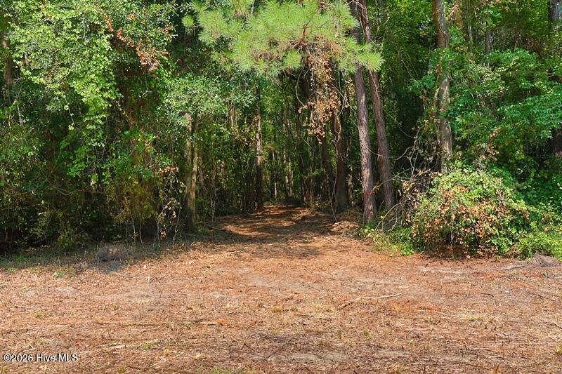 Tbd Kehukee Drive Property Photo 13