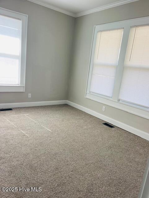 1507 Holman Street Property Photo 11
