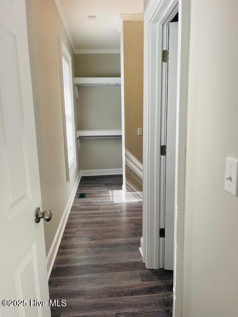 1507 Holman Street Property Photo 16