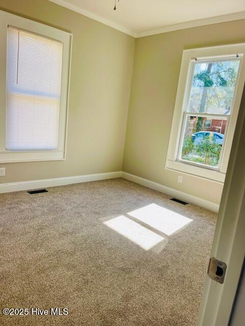 1507 Holman Street Property Photo 17