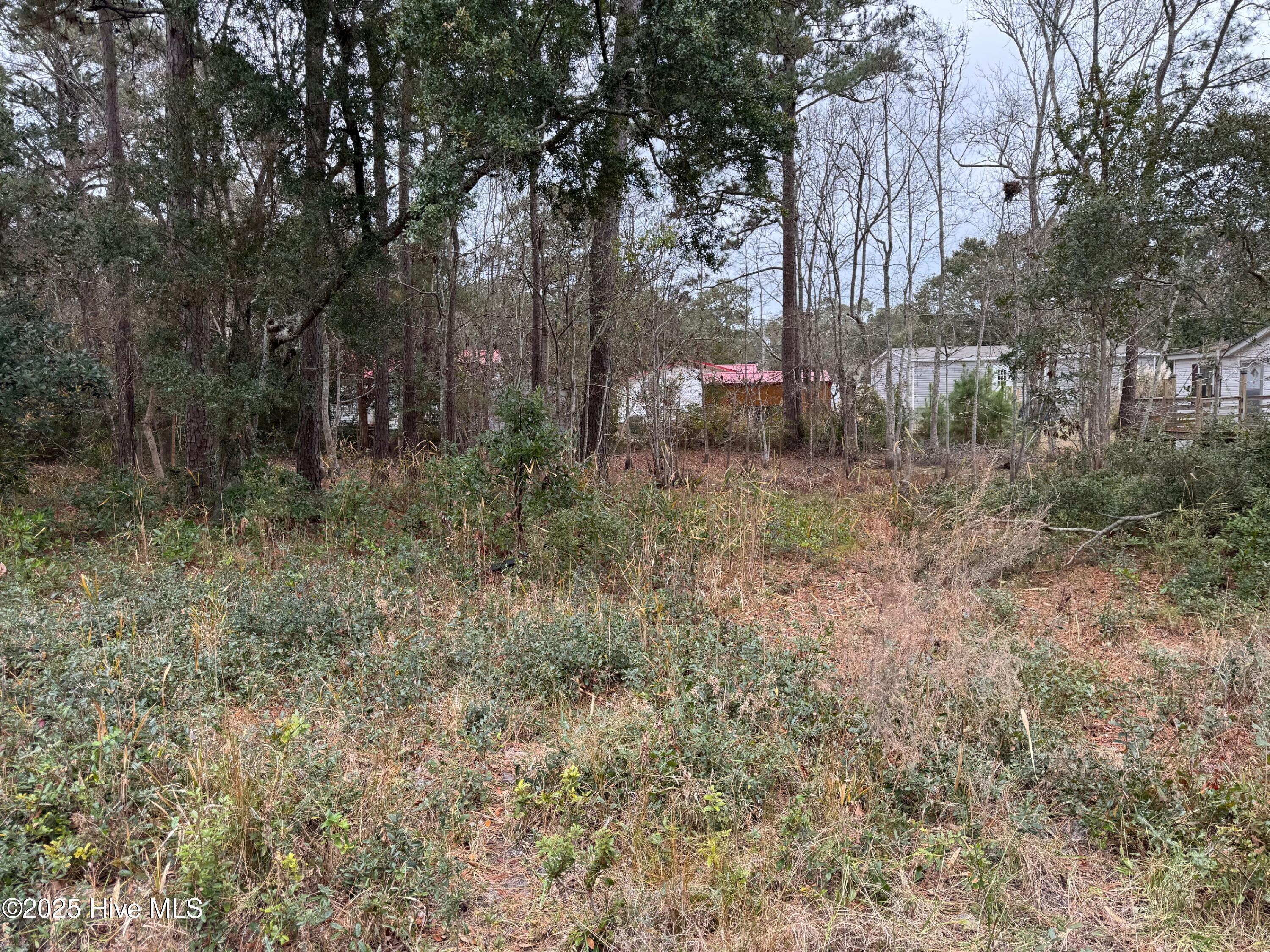 659 Brookneal Street Property Photo 1