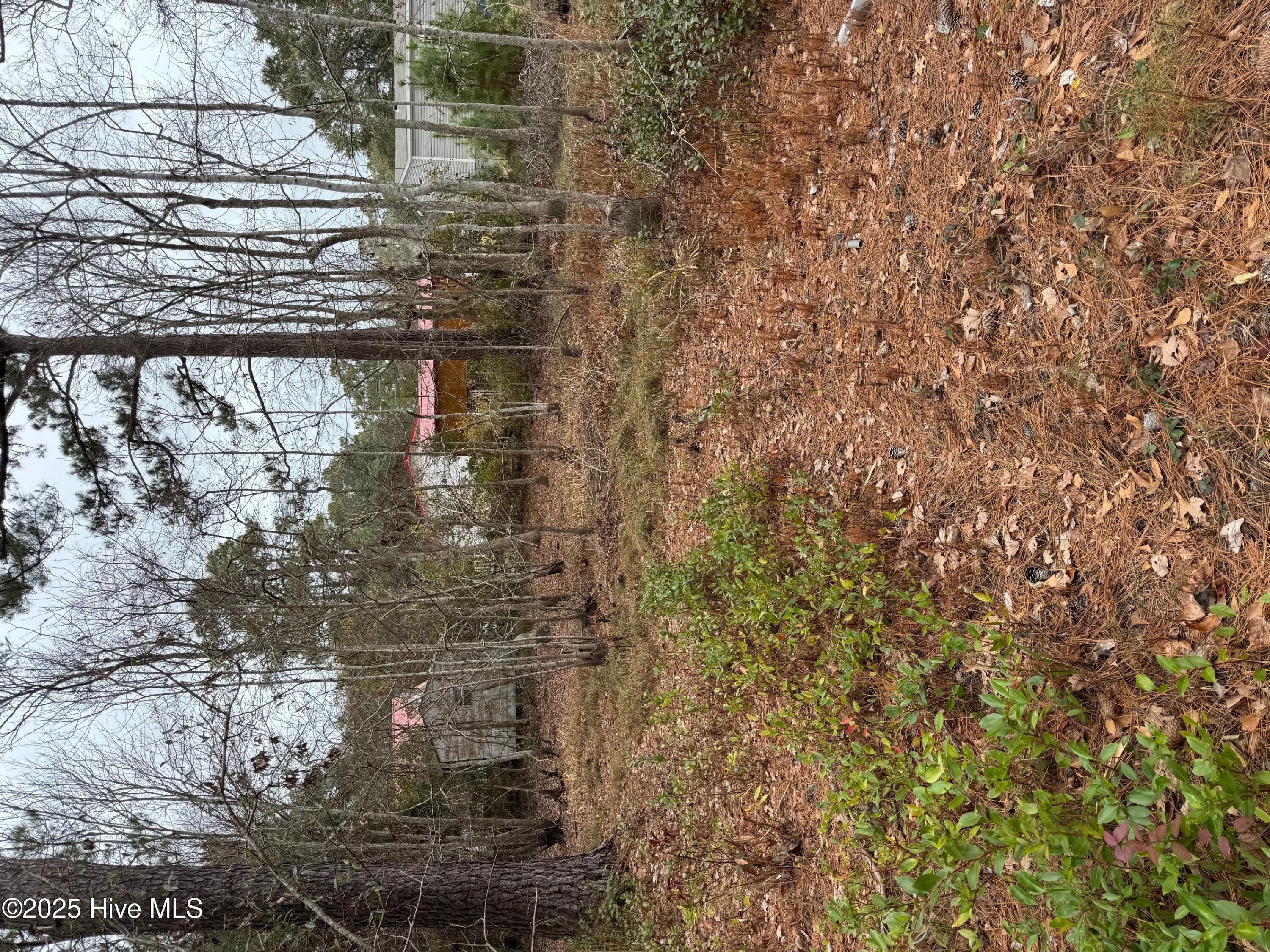659 Brookneal Street Property Photo 2