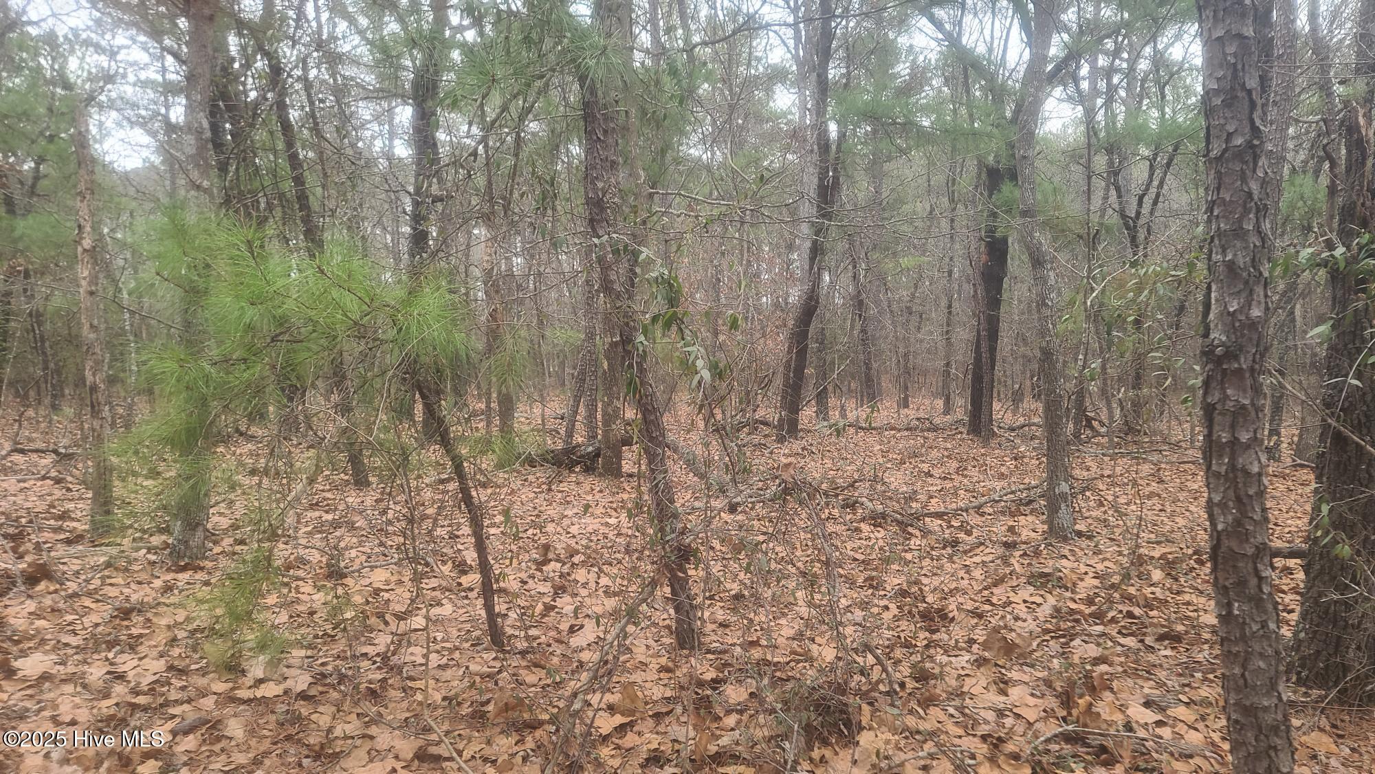 Tbd Union Church Road Property Photo