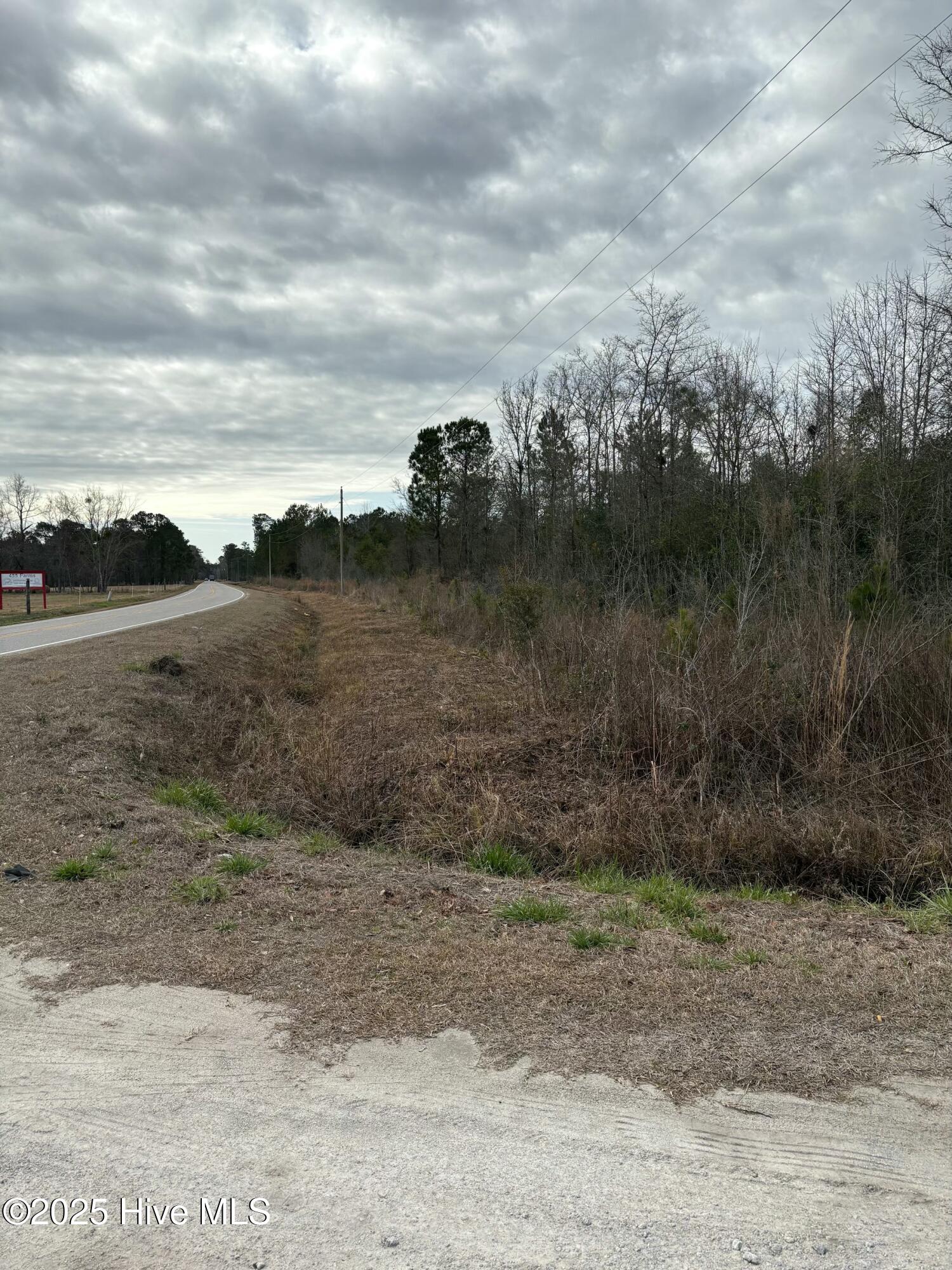 Tbd 476 Dothan Road Property Photo 3