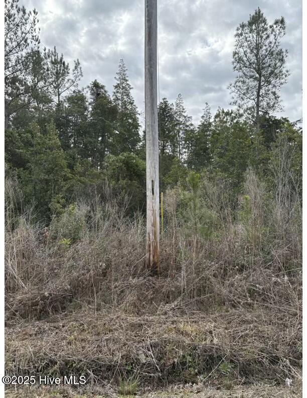 Tbd 476 Dothan Road Property Photo 4