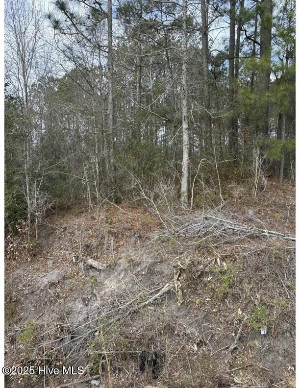 Tbd 476 Dothan Road Property Photo 6