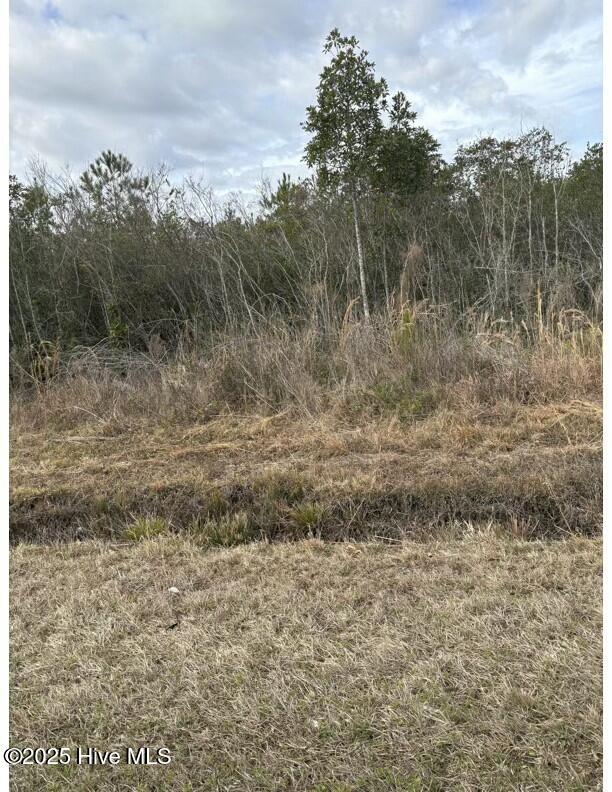 Tbd 476 Dothan Road Property Photo 7