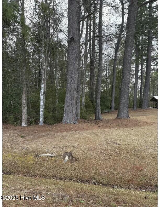Tbd 476 Dothan Road Property Photo 8