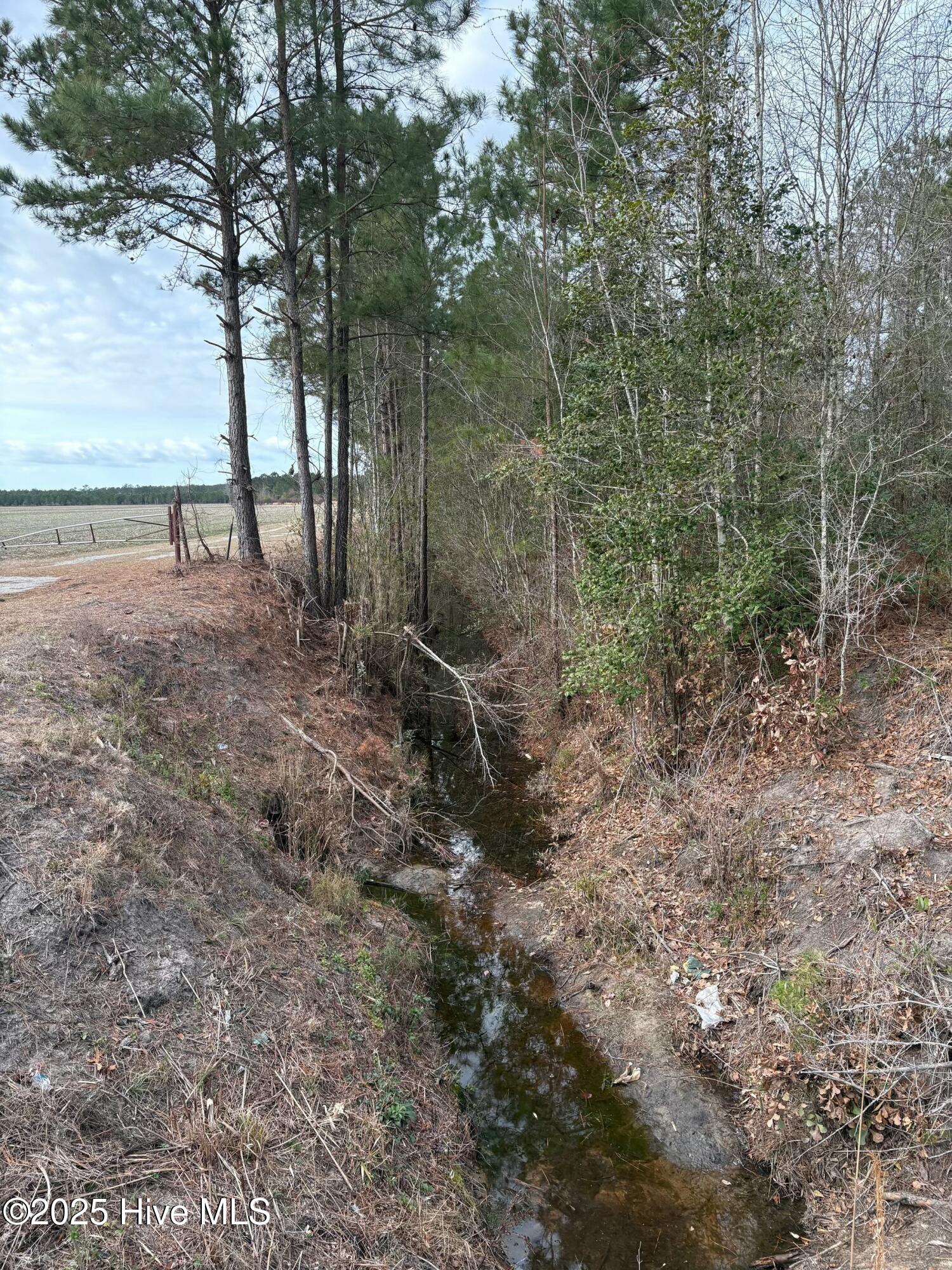 Tbd 476 Dothan Road Property Photo 9