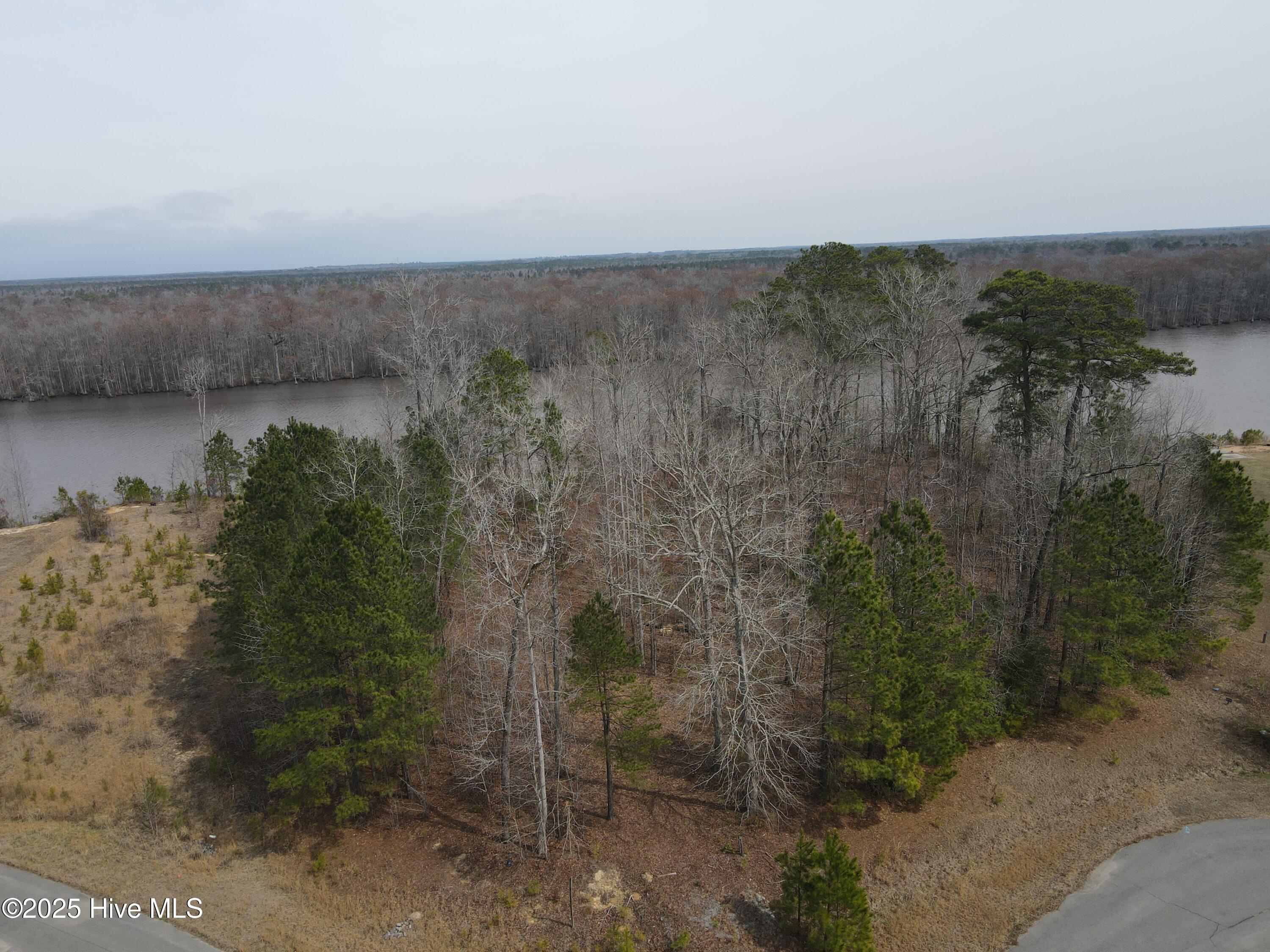 Lot 10 Riverview Court Property Photo 6