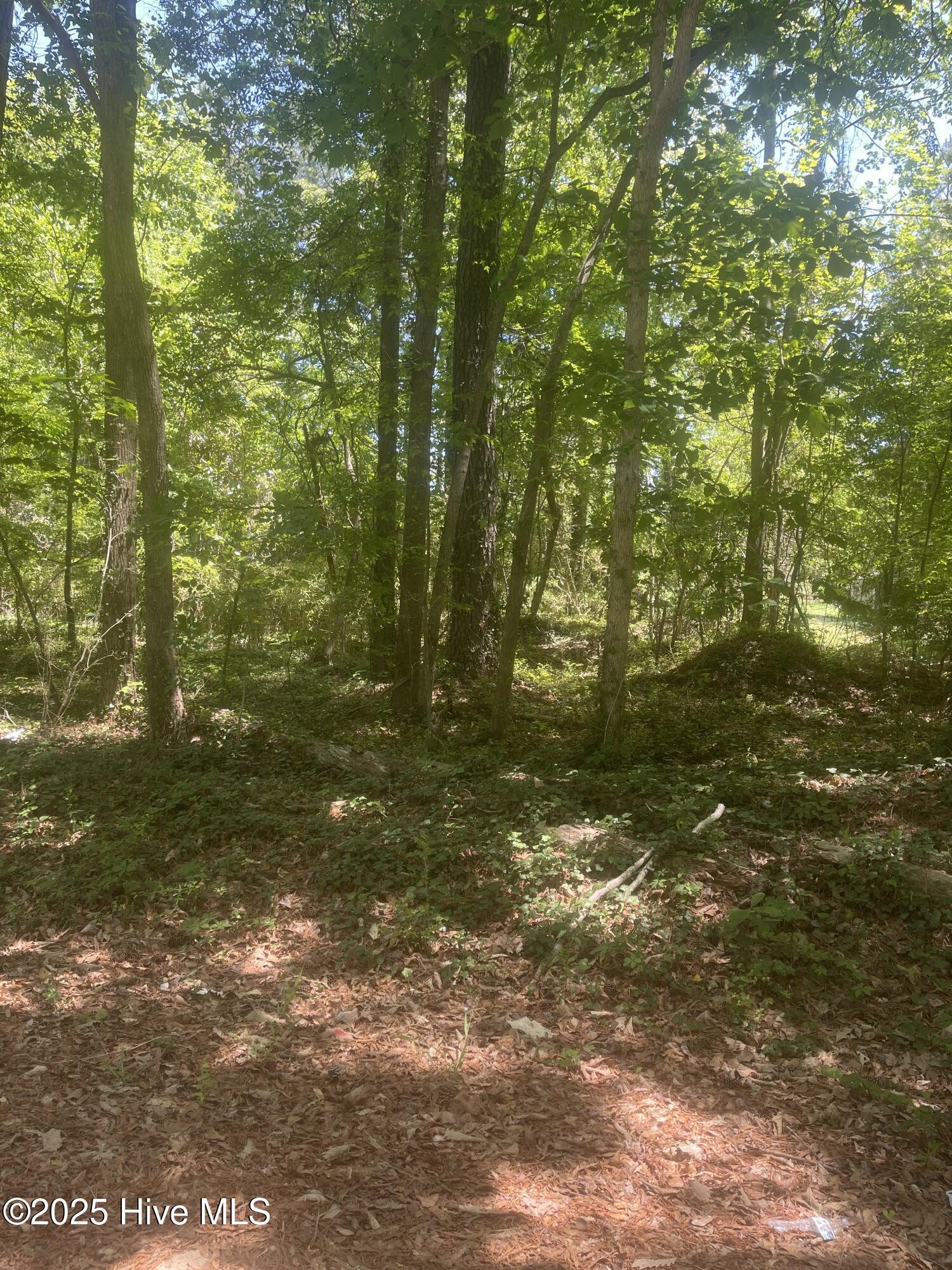 600 Eagles Terrace Property Photo
